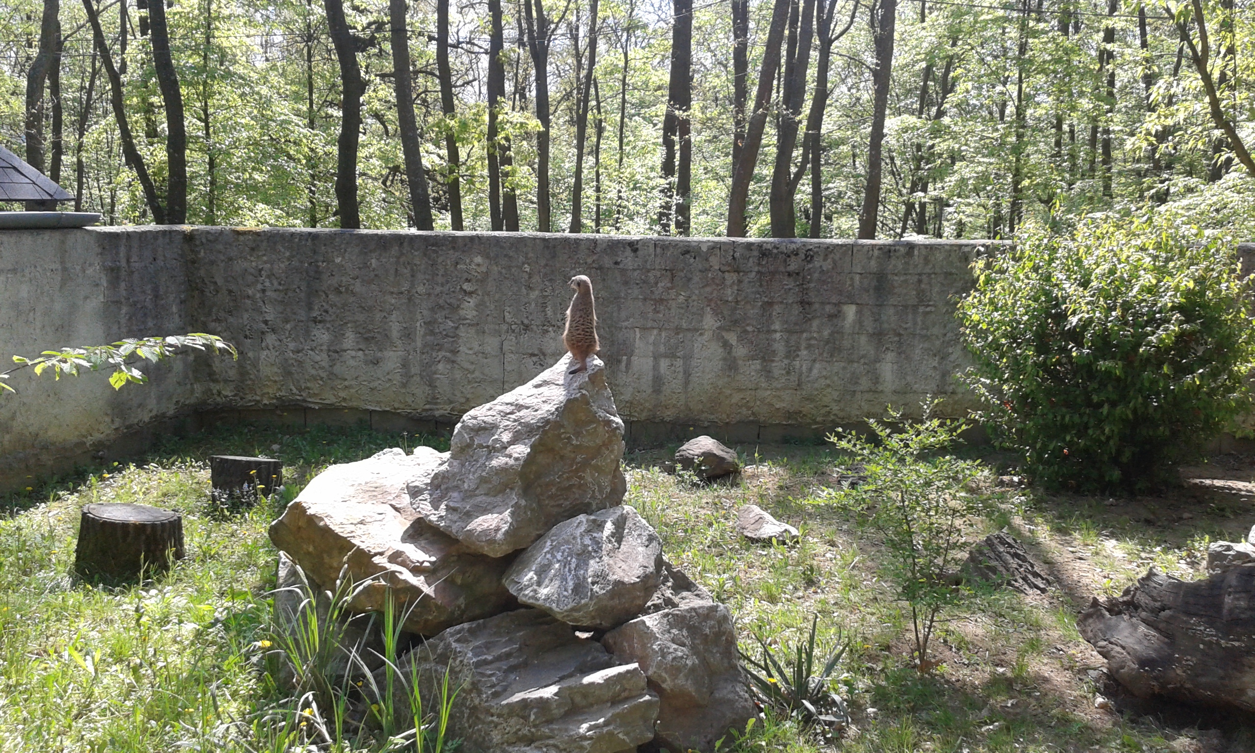 20160422_143650.jpg