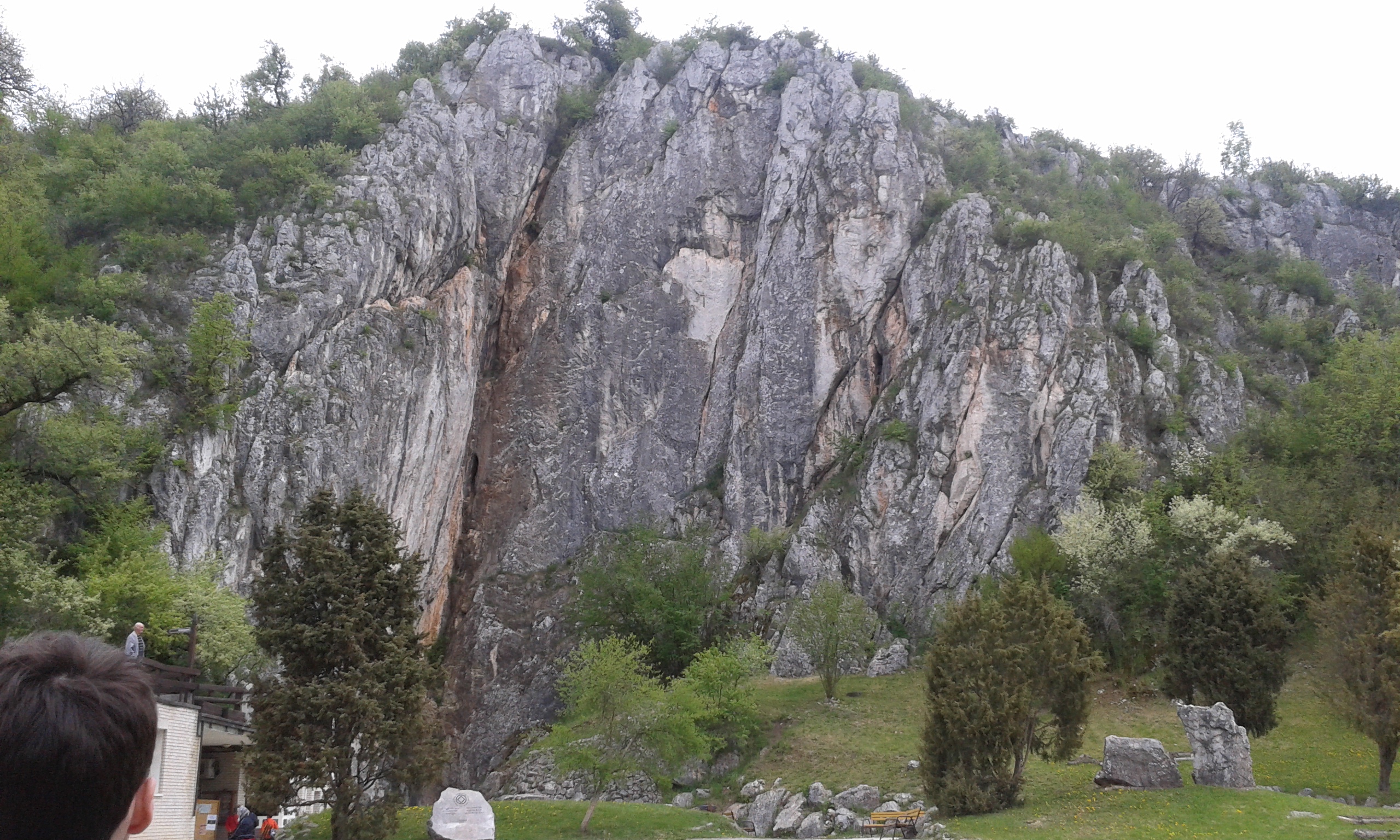 20160423_120745.jpg