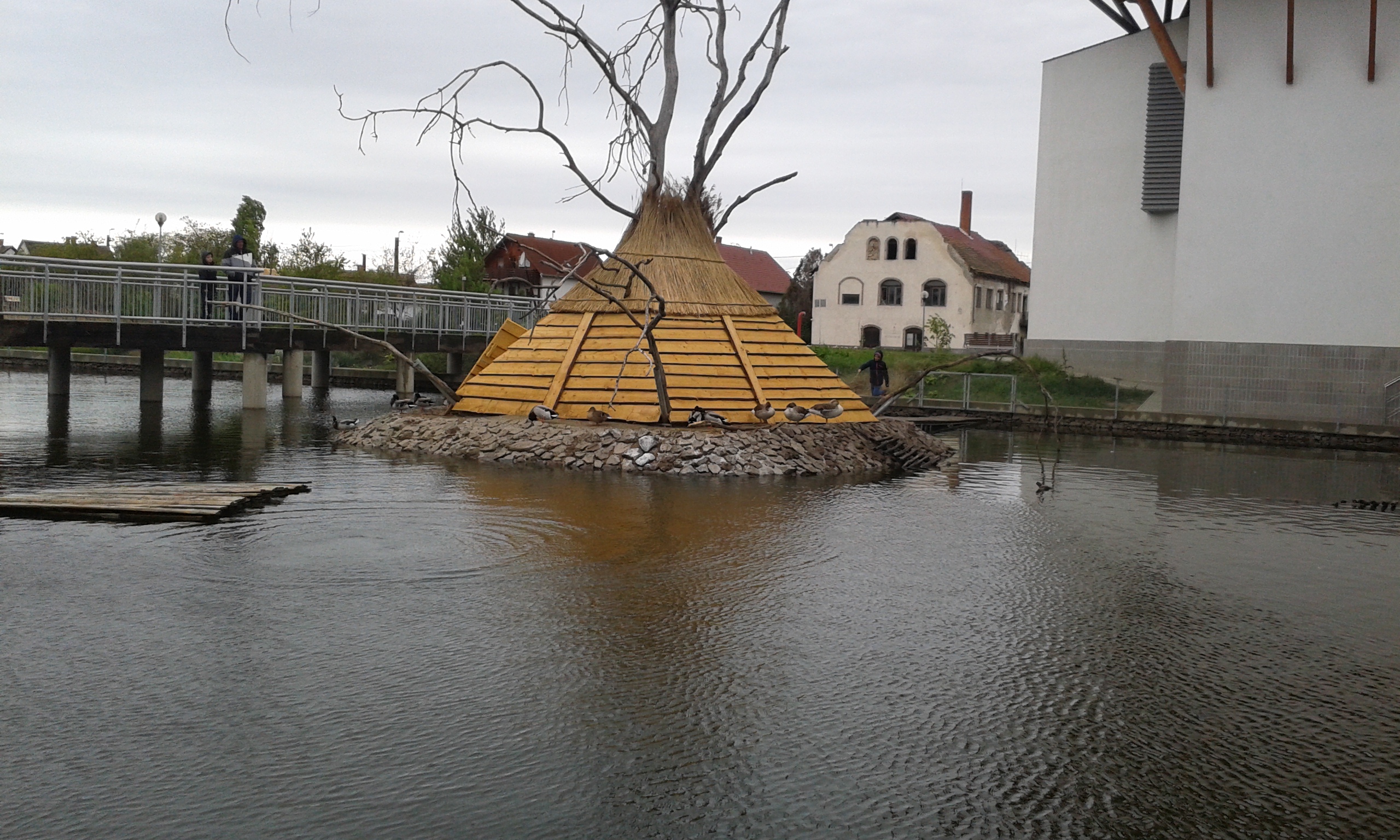 20160424_155724.jpg