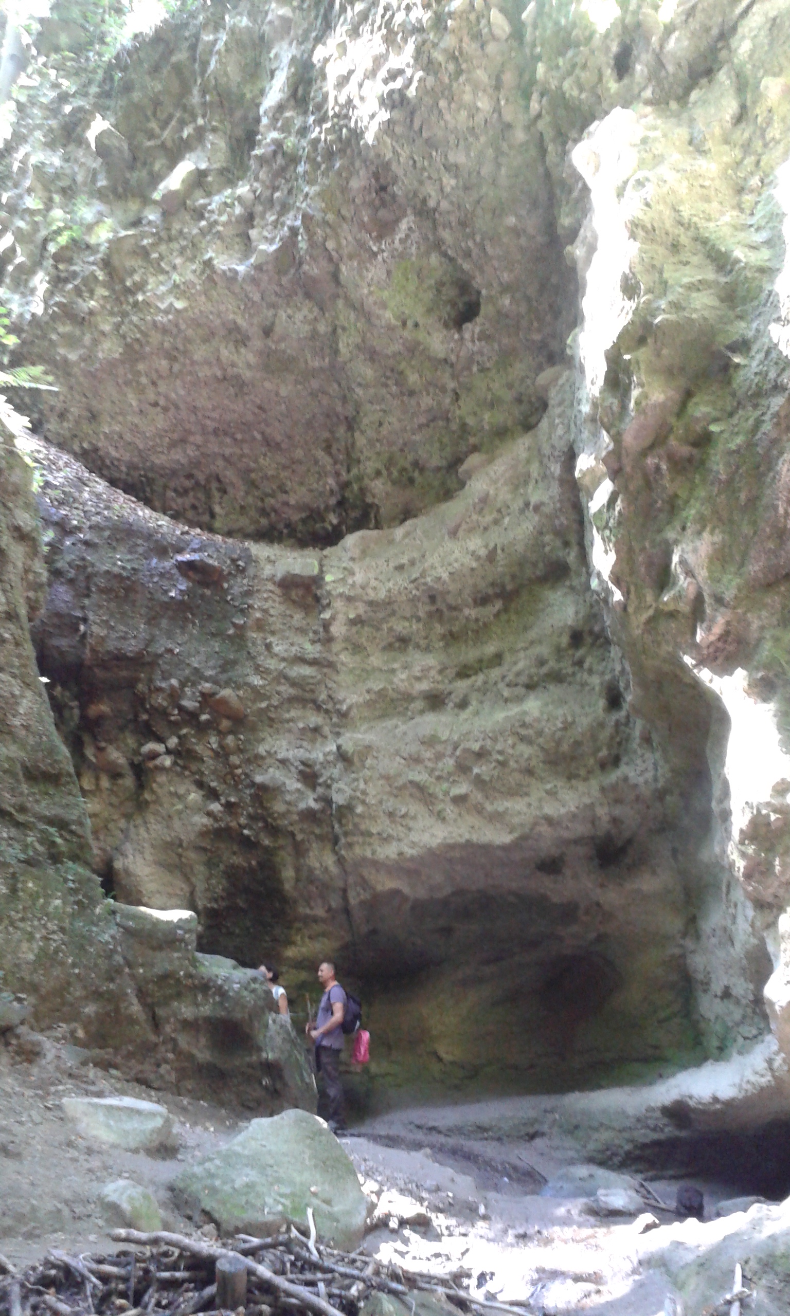20160830_124046_4.jpg