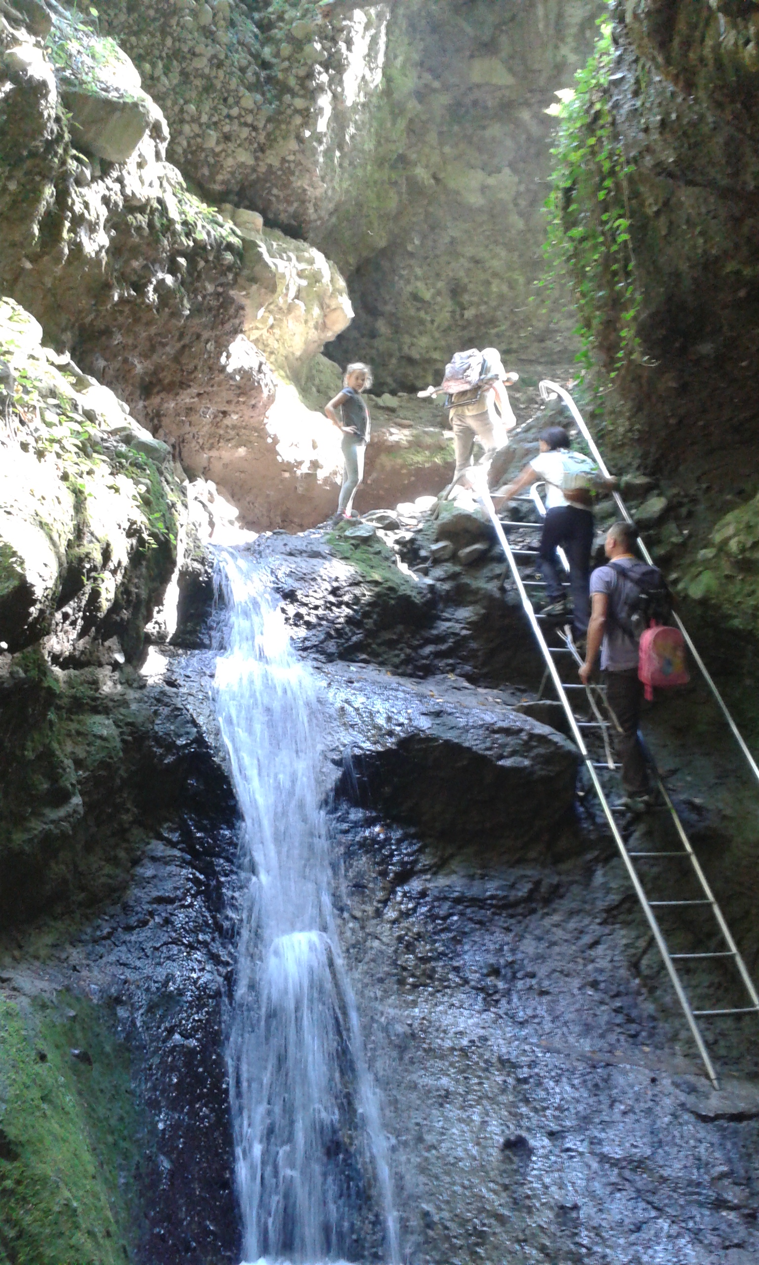 20160830_124208_3.jpg