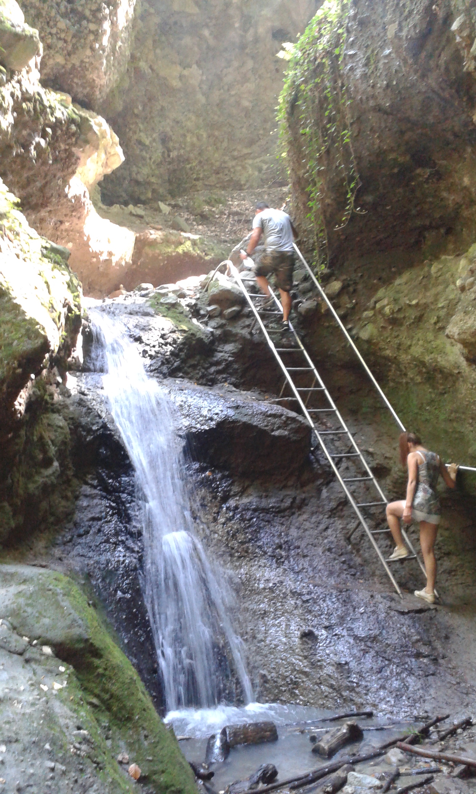 20160830_124227_2.jpg