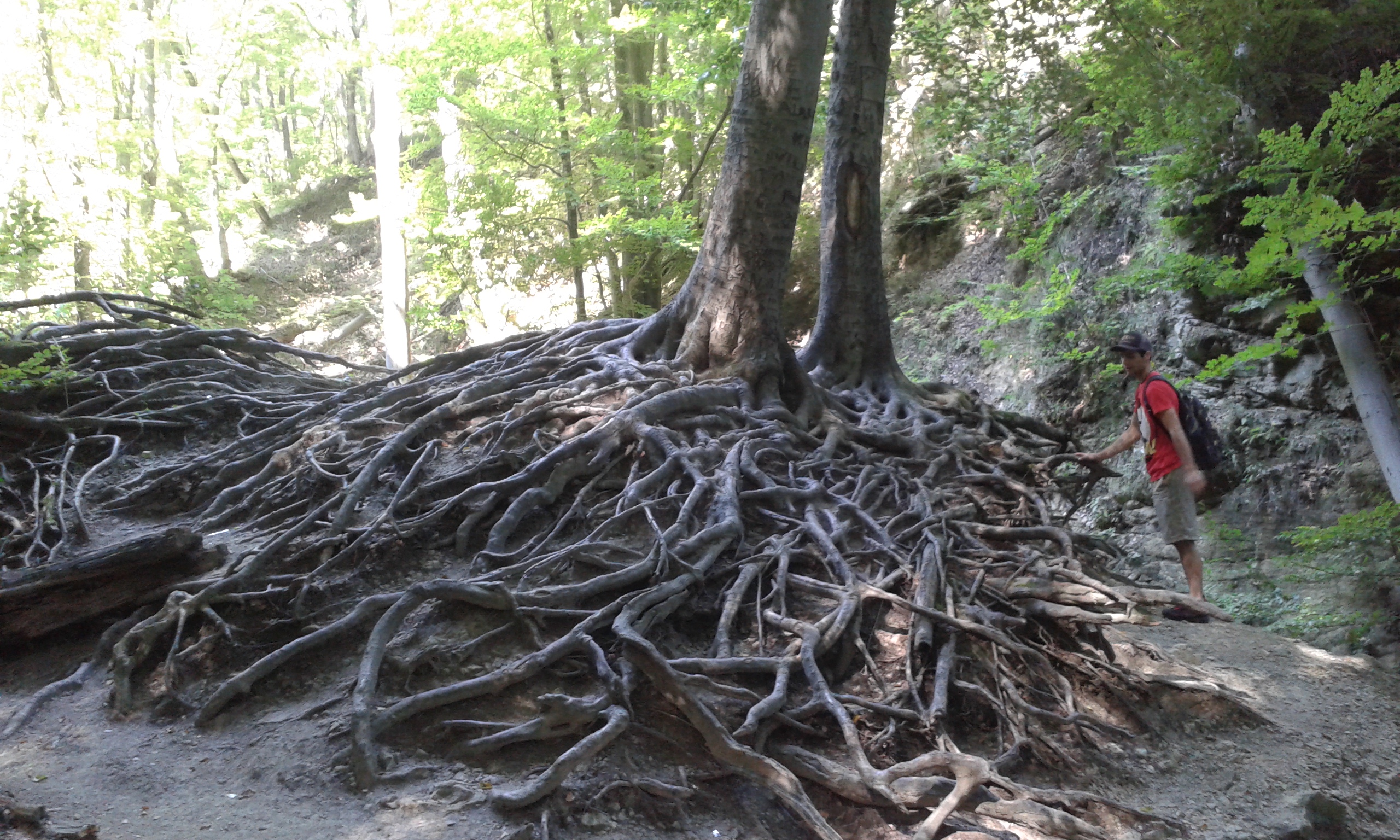 20160830_130010.jpg