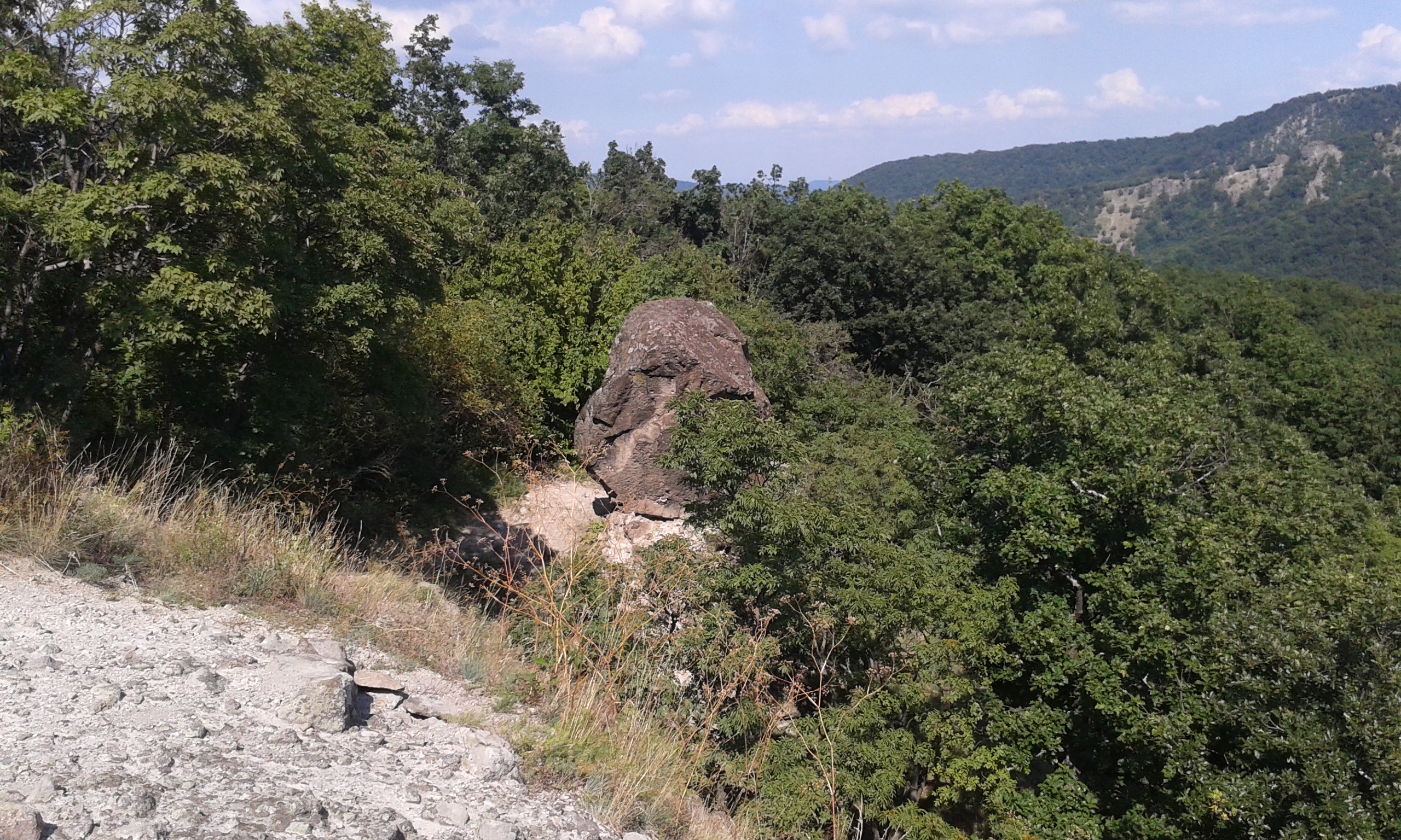 20160830_141852.jpg