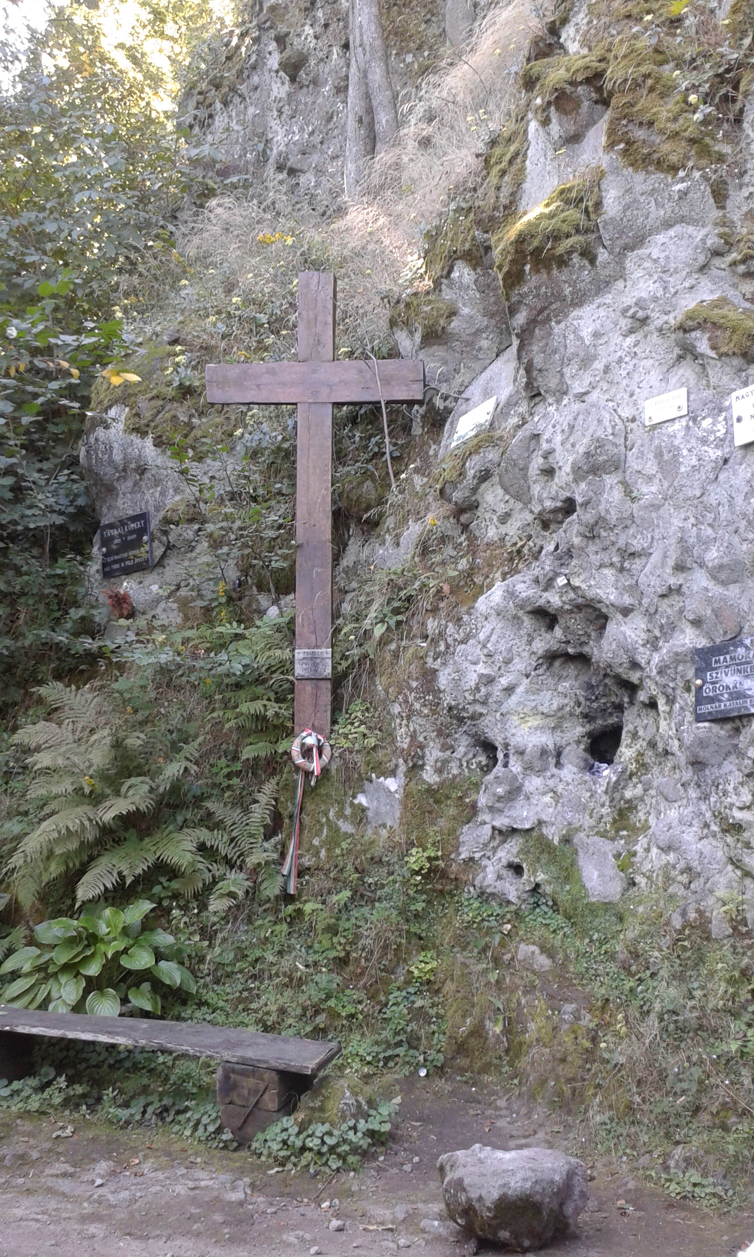 20160831_112253_1.jpg