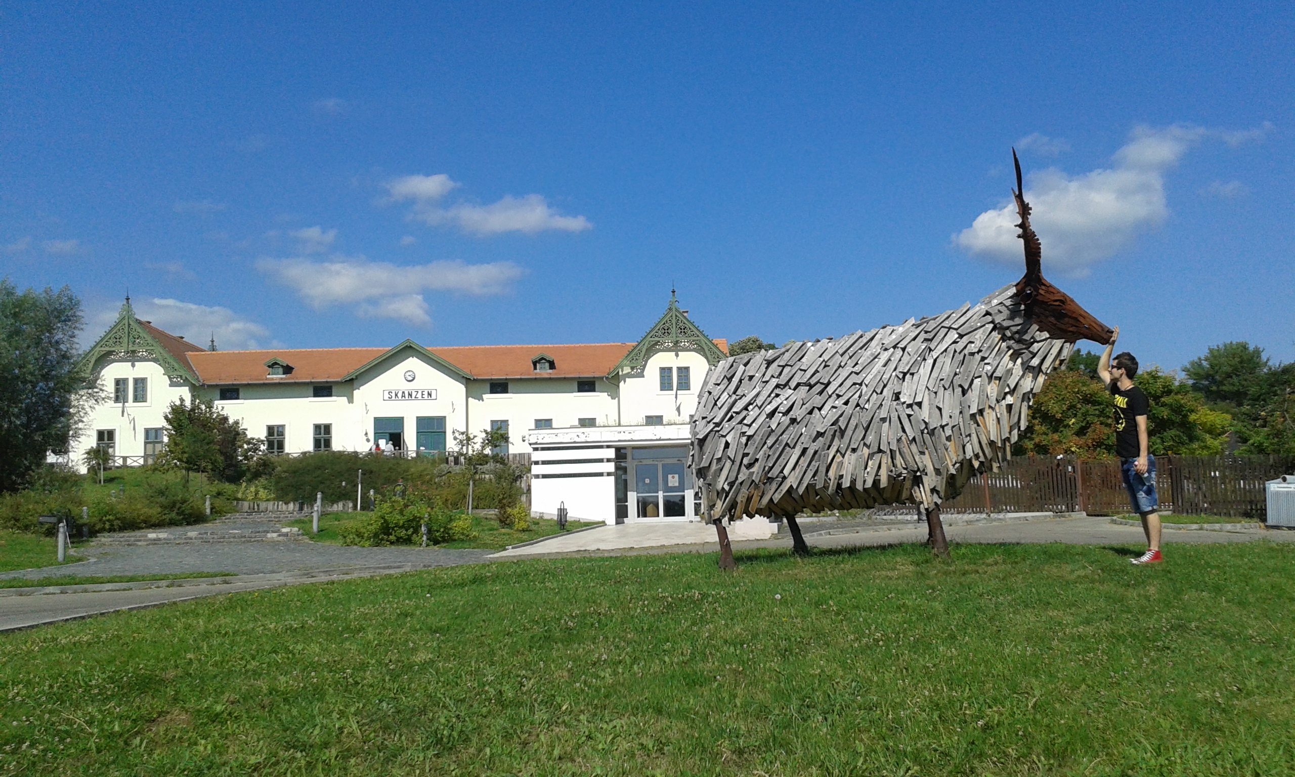 20160901_104201.jpg