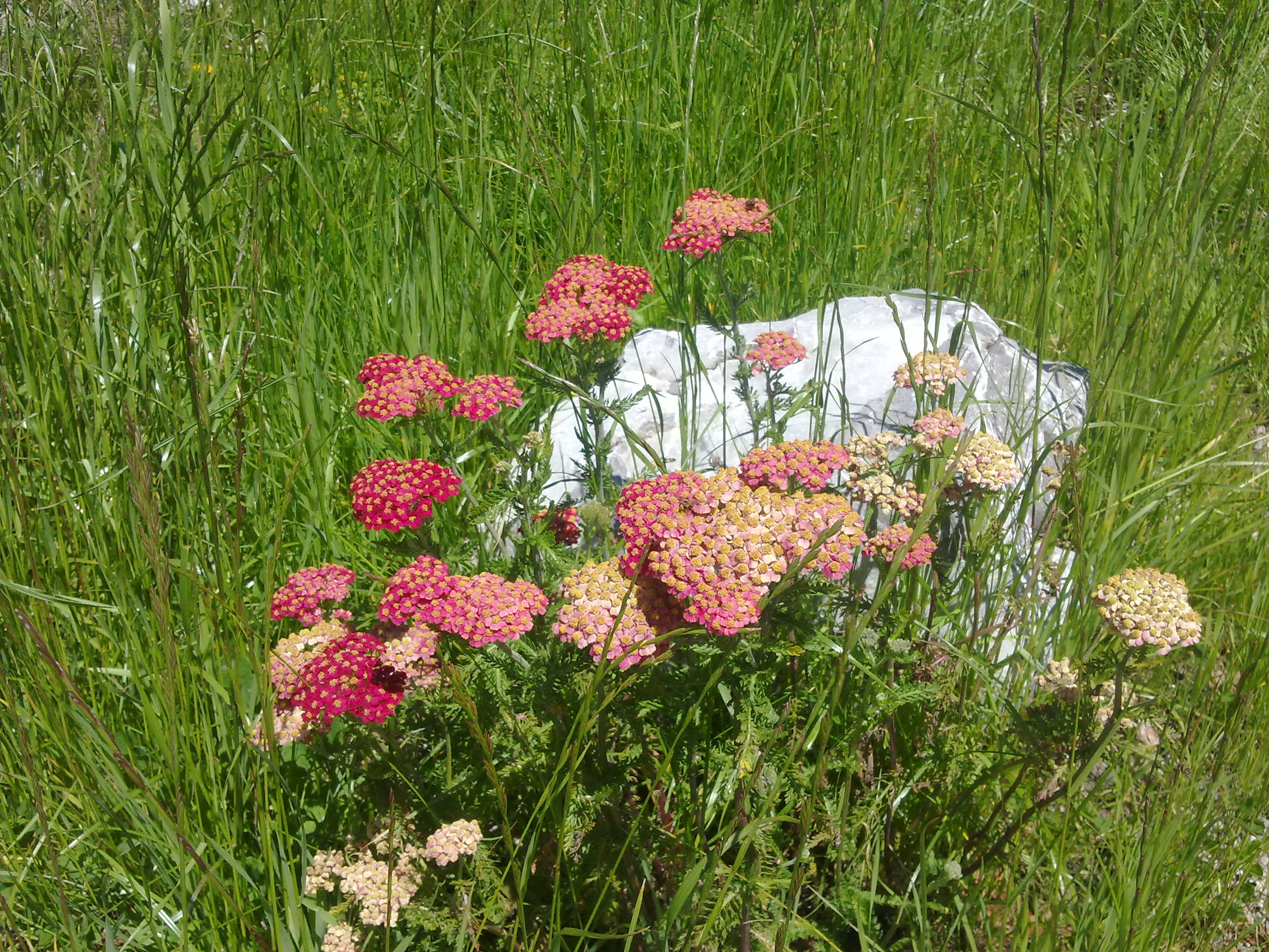 20120723707.jpg