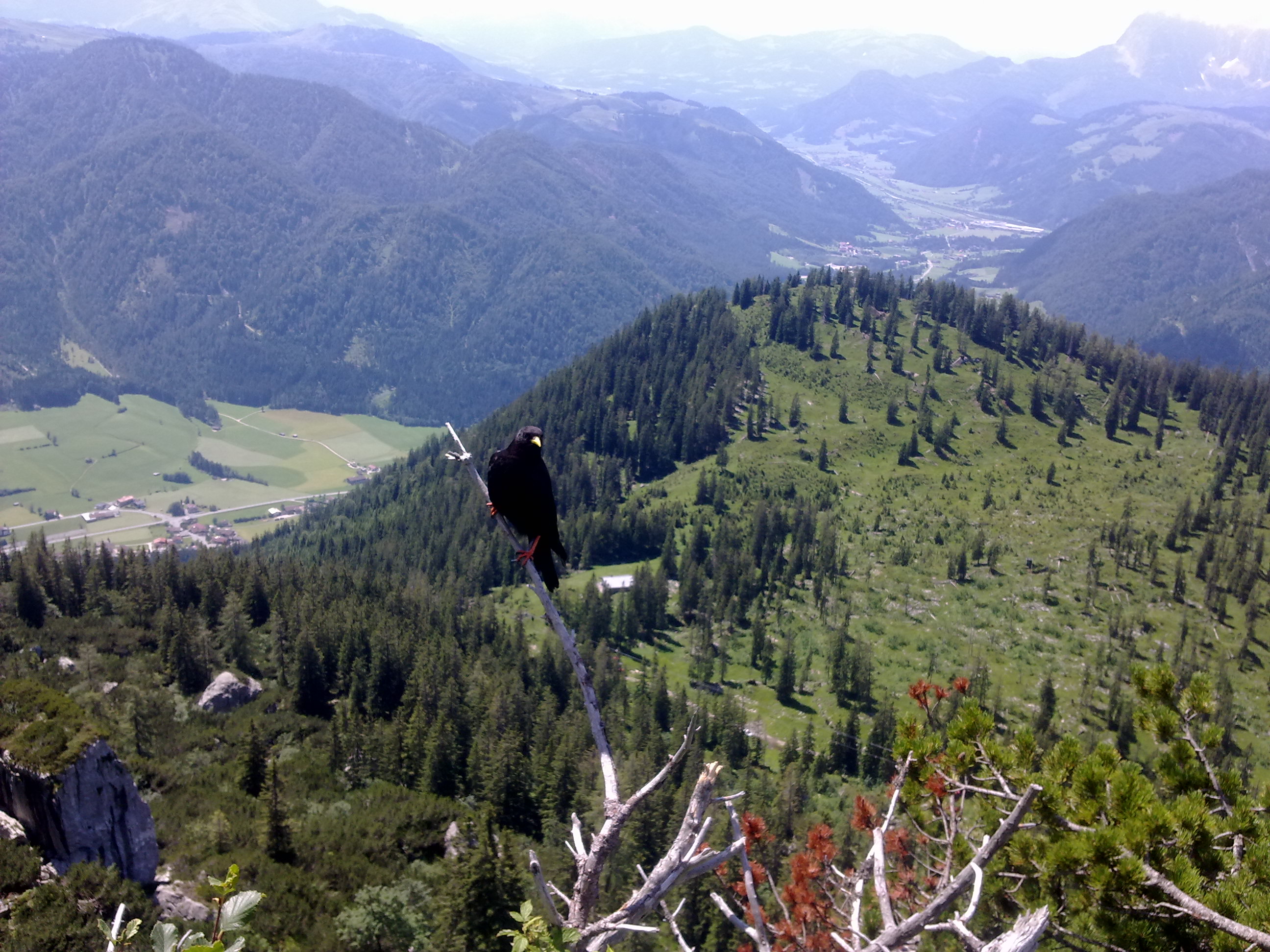 20120723733.jpg