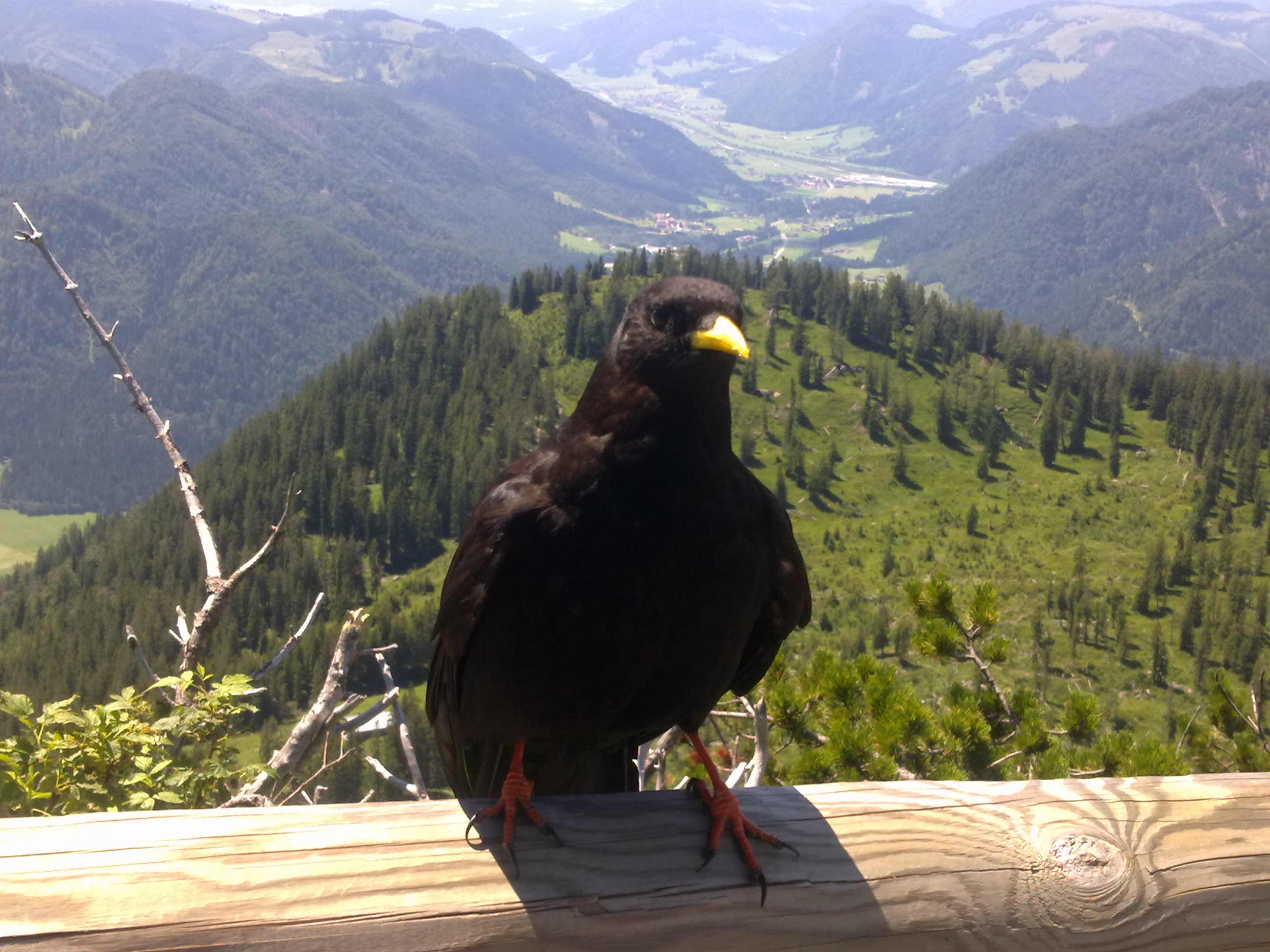 20120723741.jpg