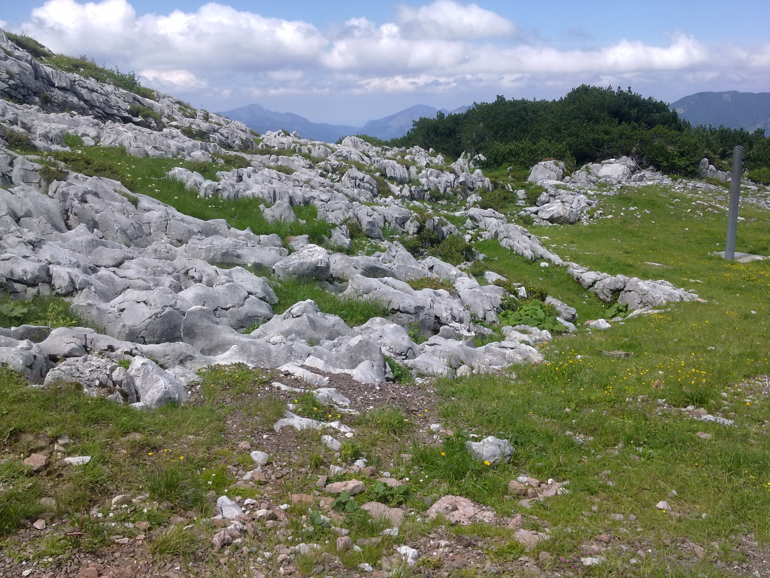20120723779.jpg