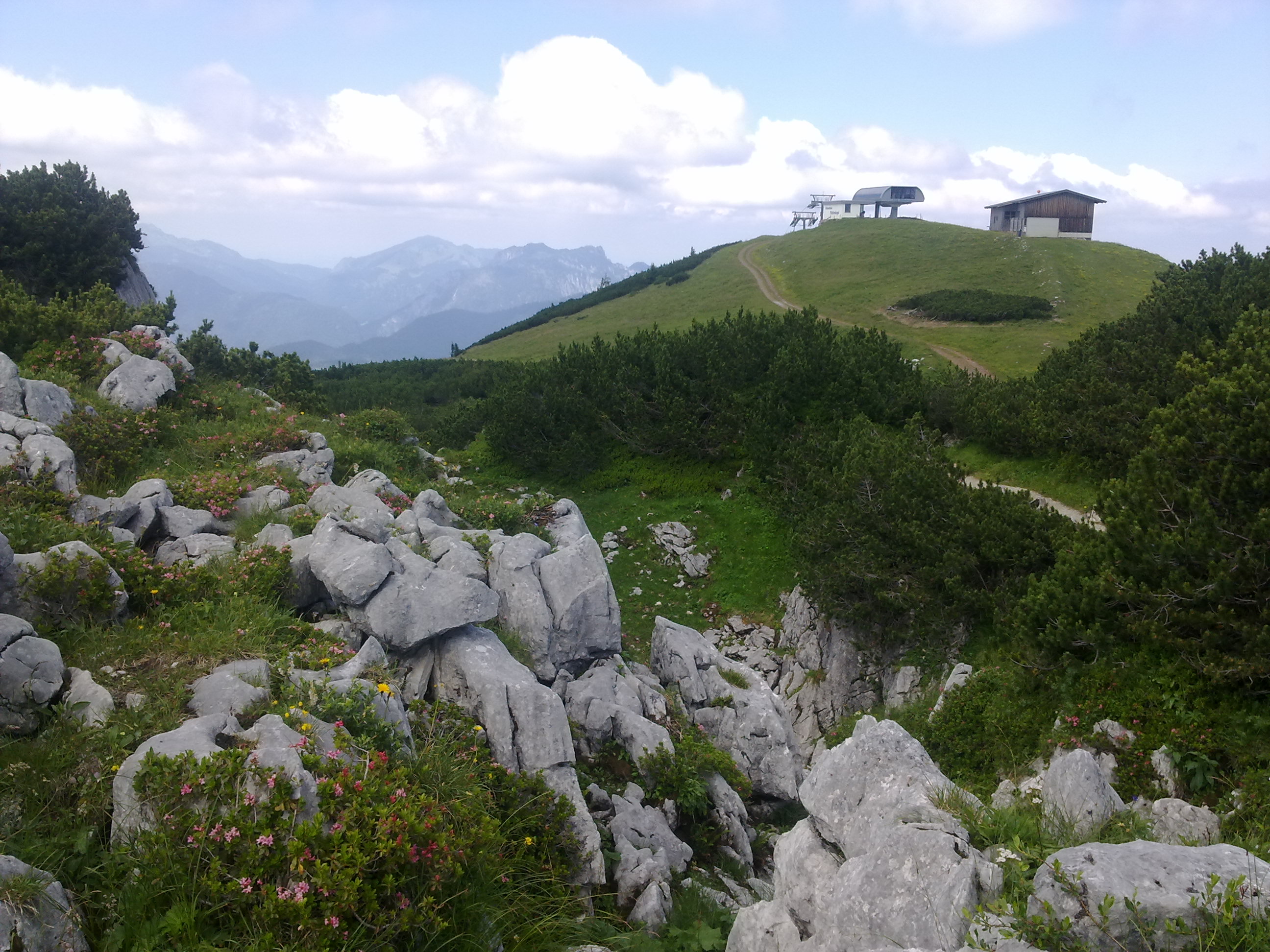 20120723782.jpg