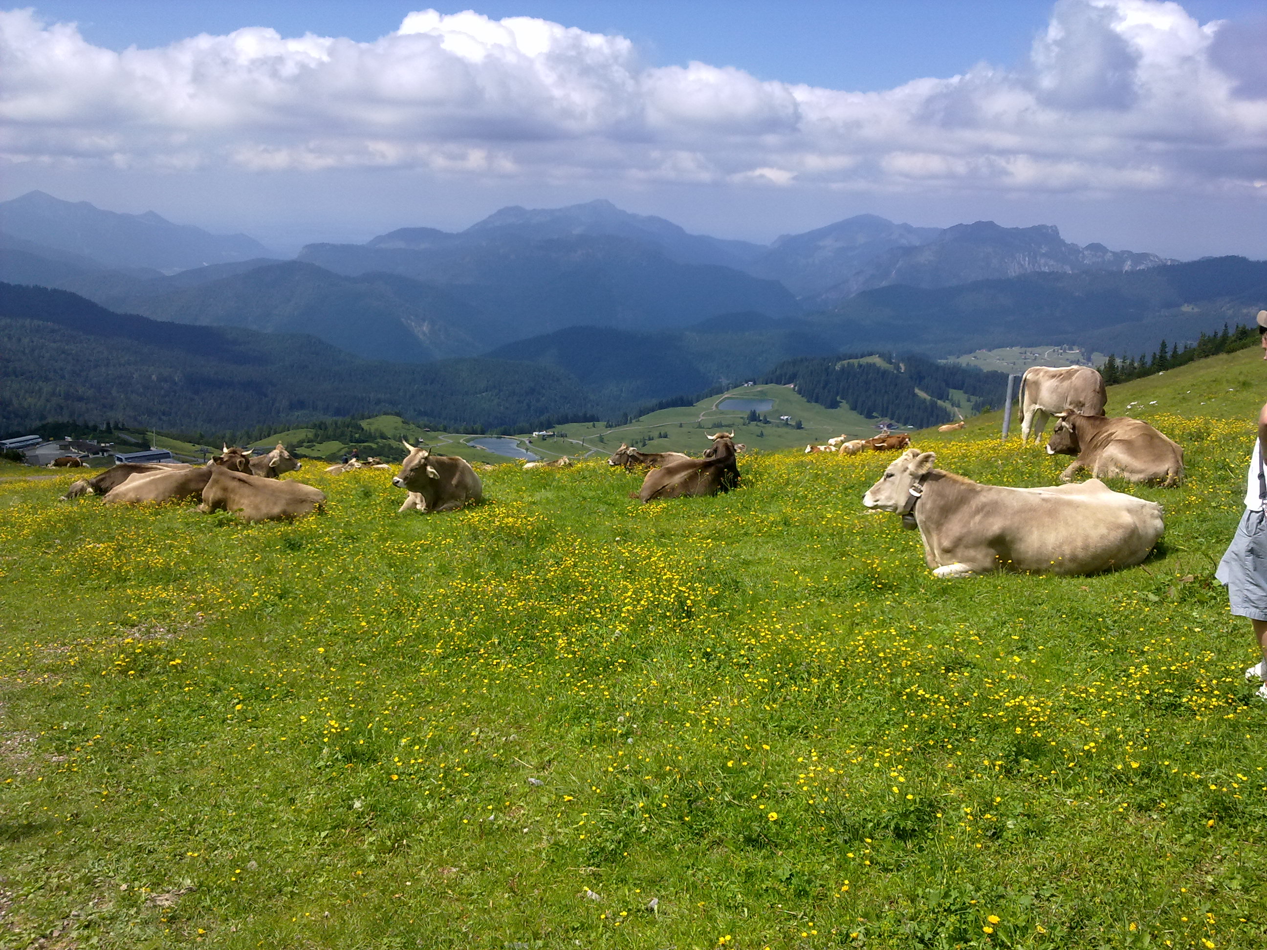 20120723795_1.jpg
