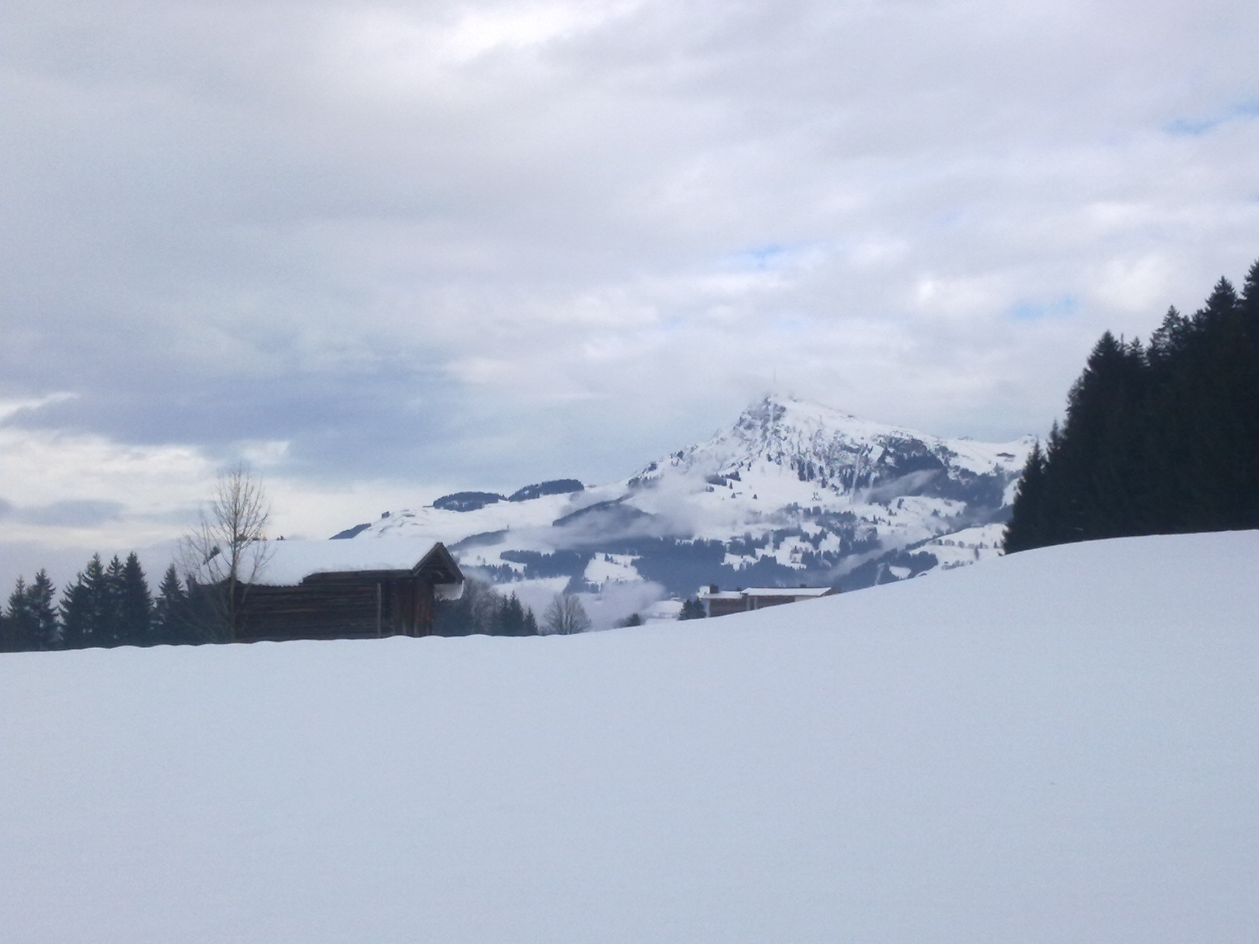 201212161333.jpg