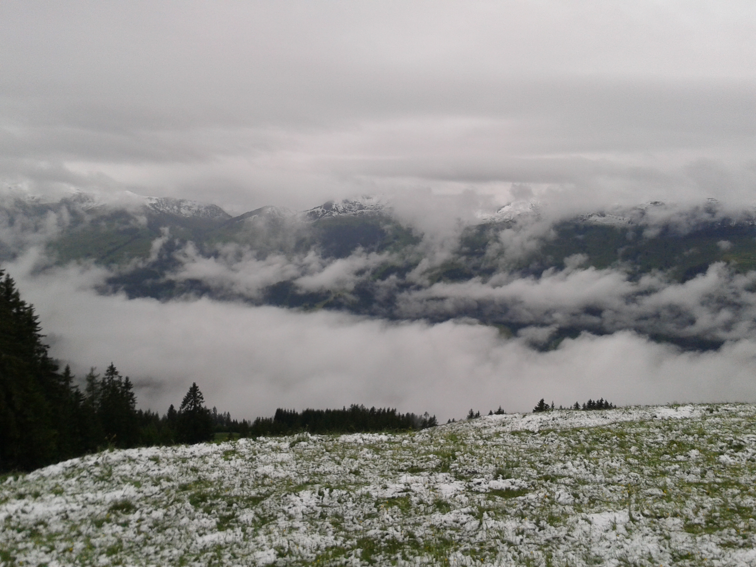 20130624_151433.jpg