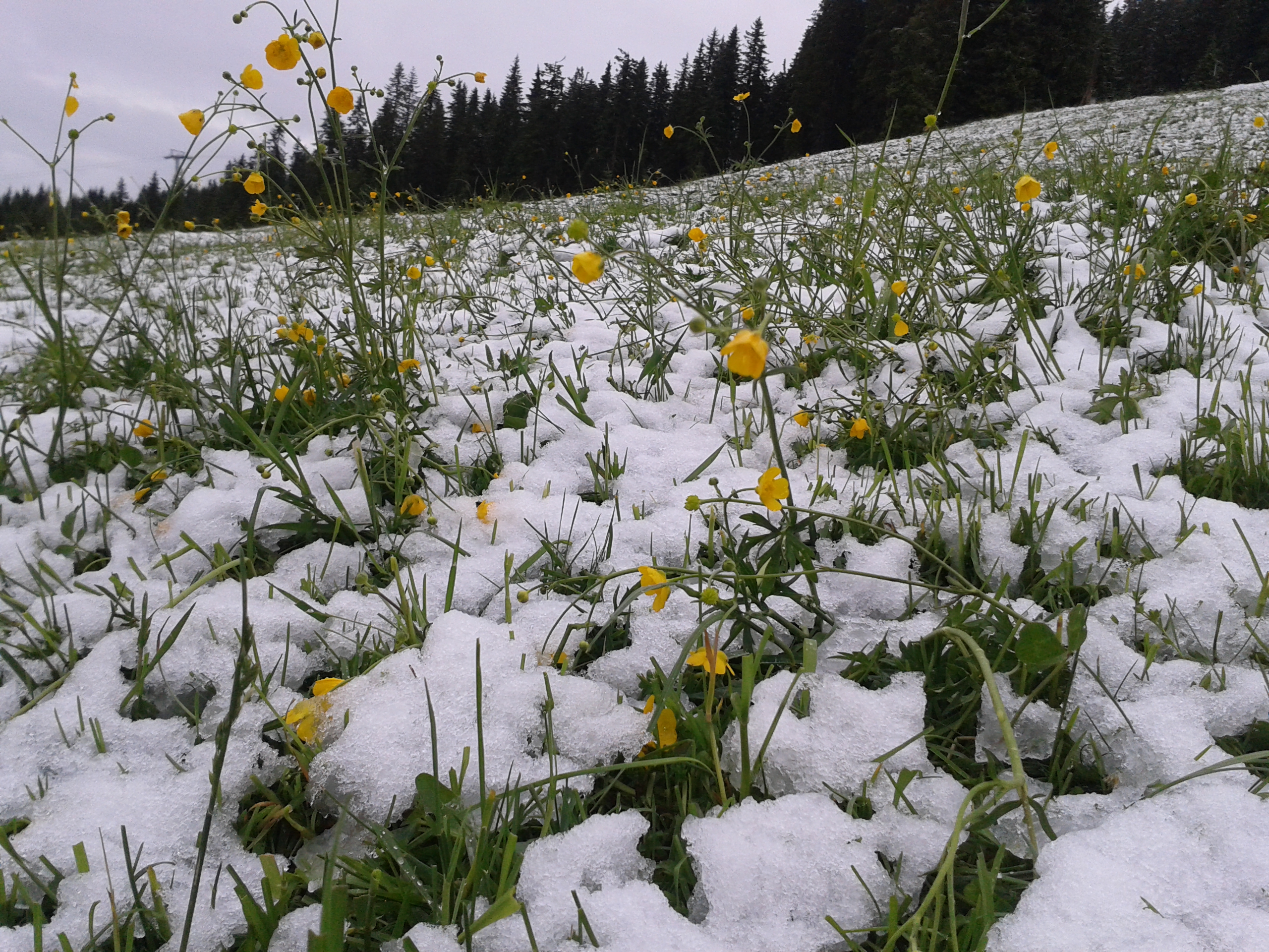 20130624_151502.jpg