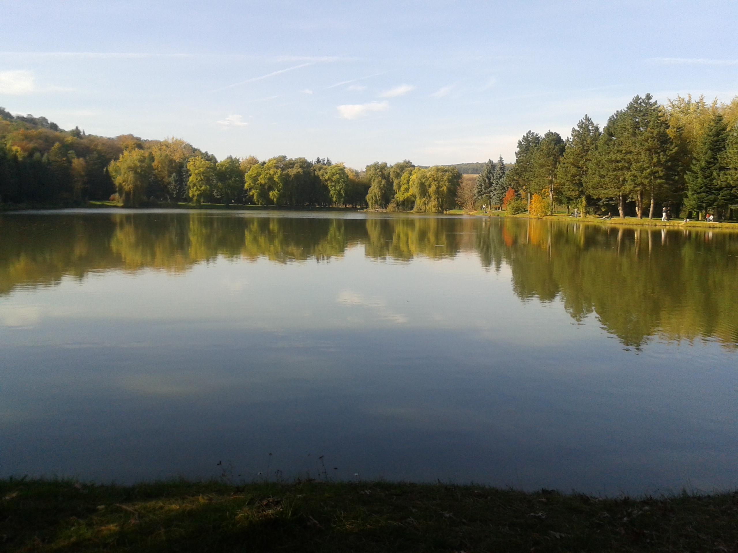 20131020_150828.jpg