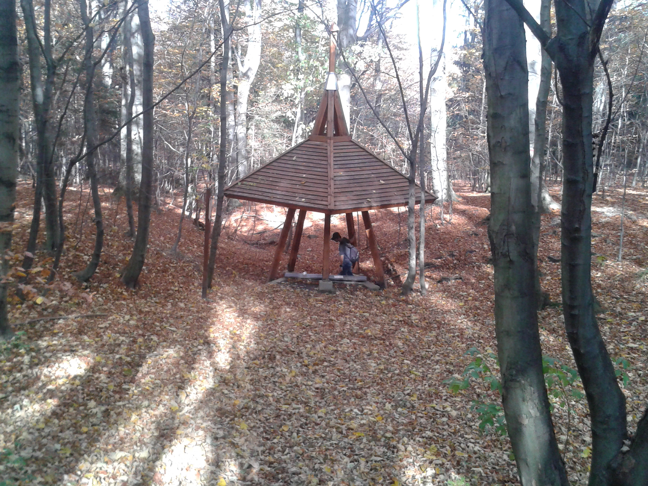 20131021_140008.jpg