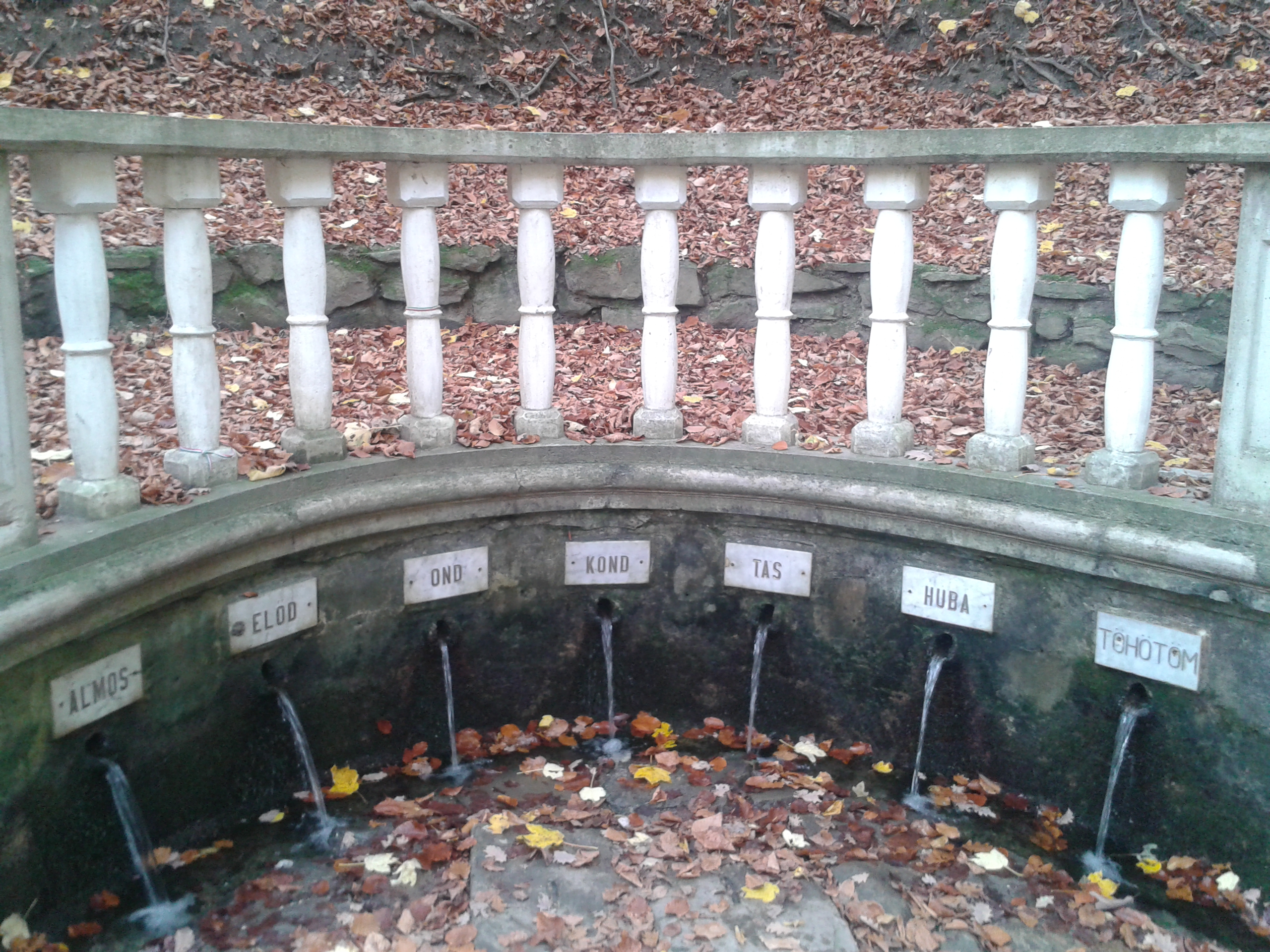 20131022_134619.jpg