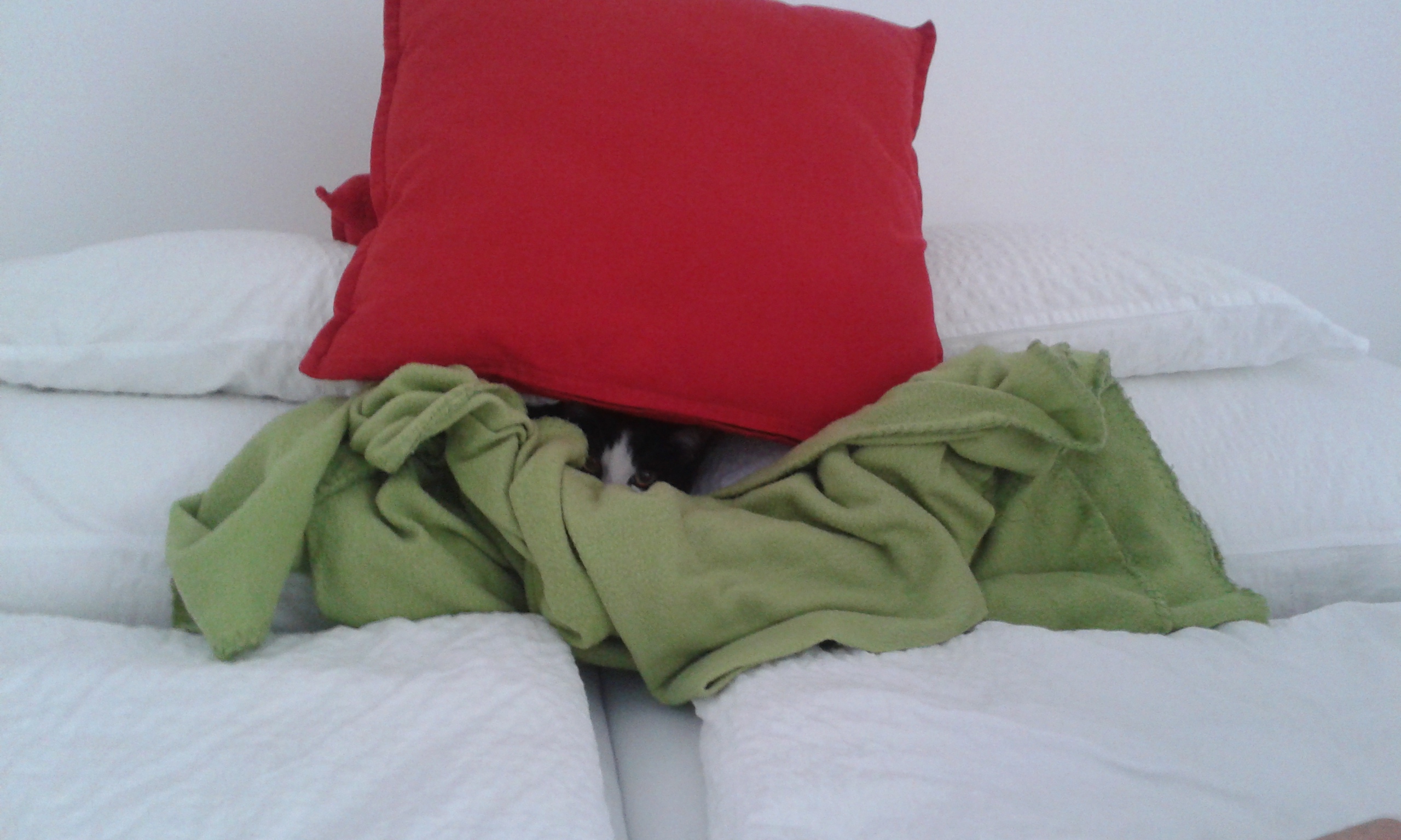 20150921_145538.jpg