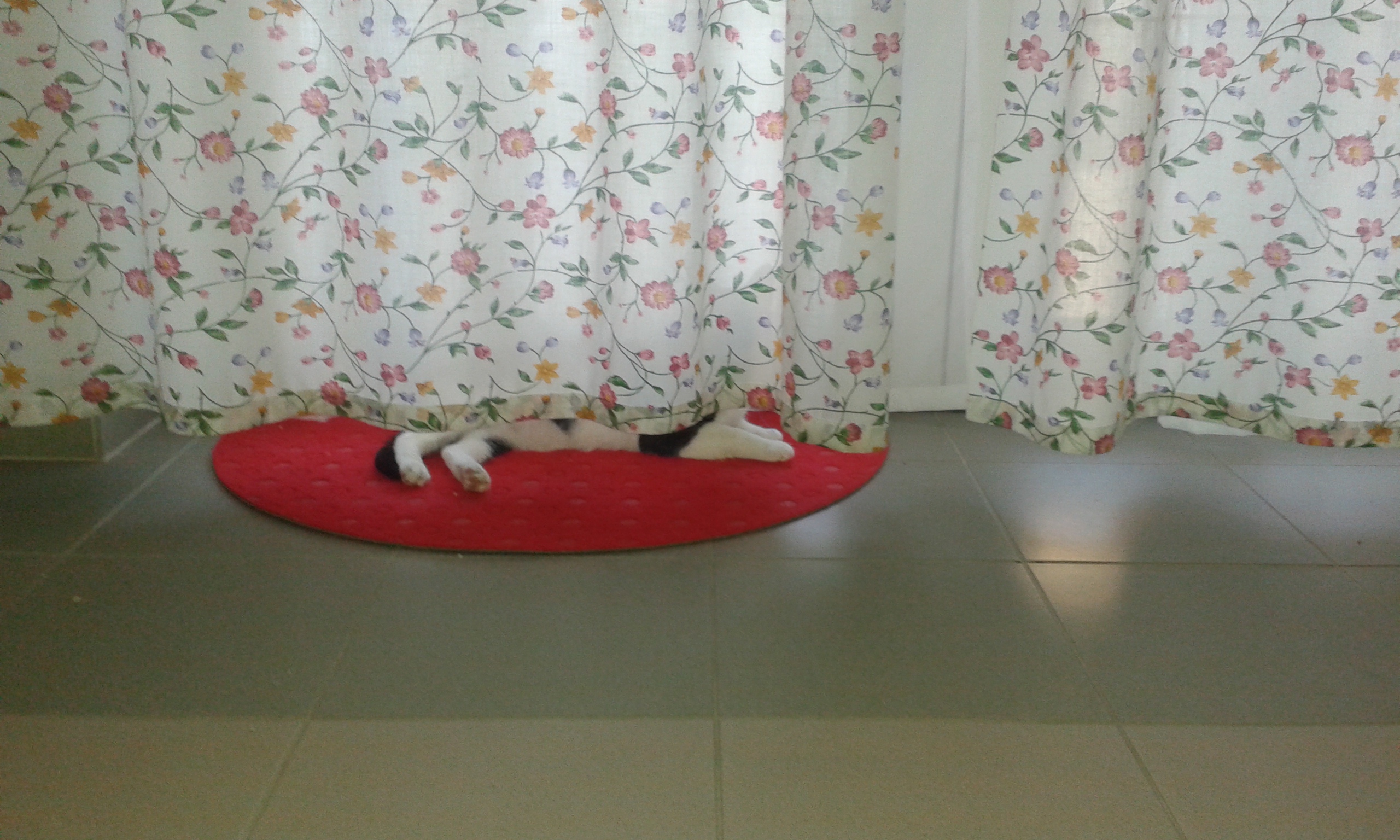 20150922_110925_1.jpg