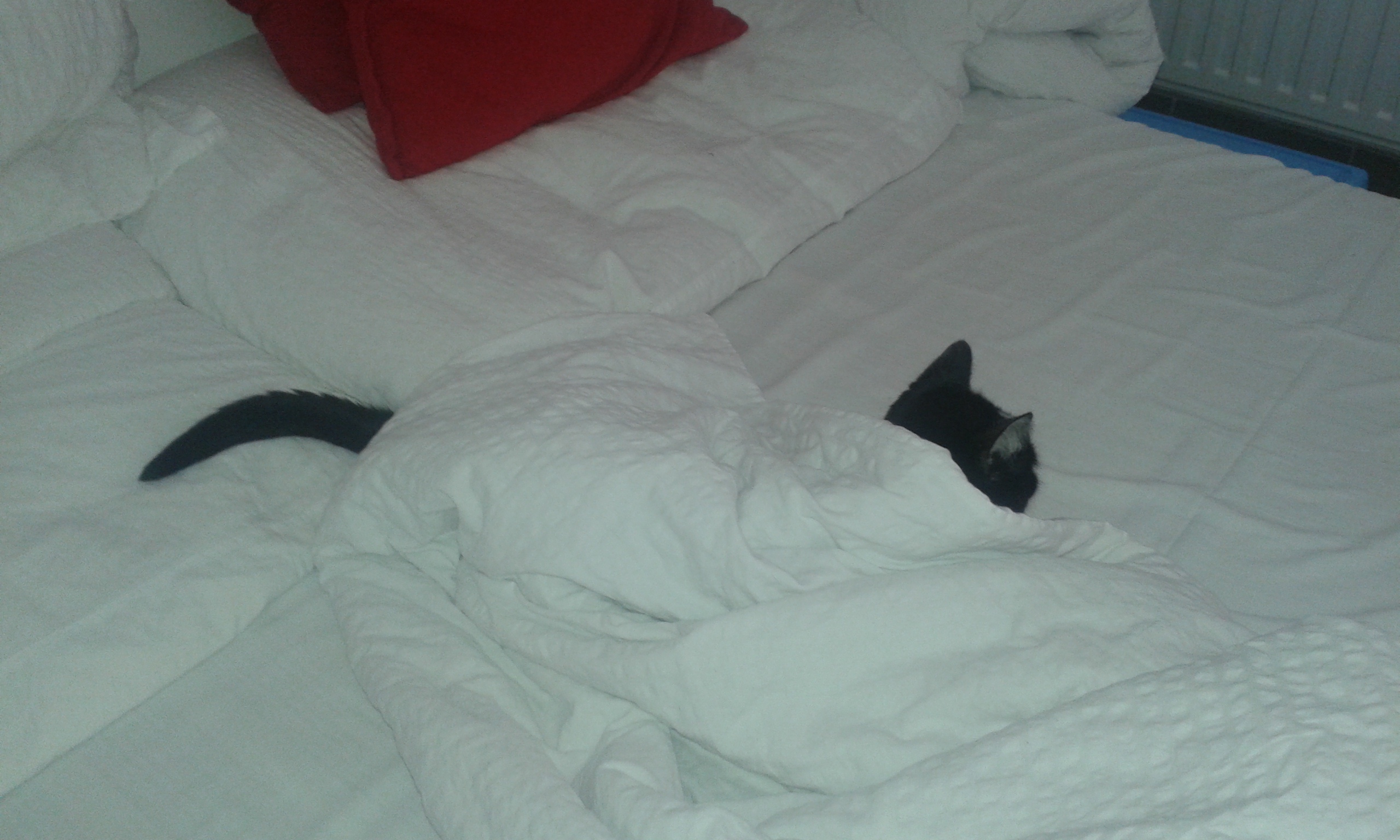 20150927_175947.jpg