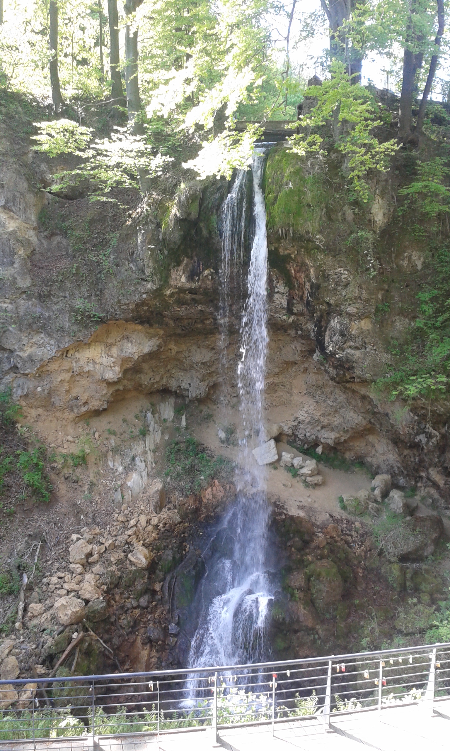 20160422_101040.jpg