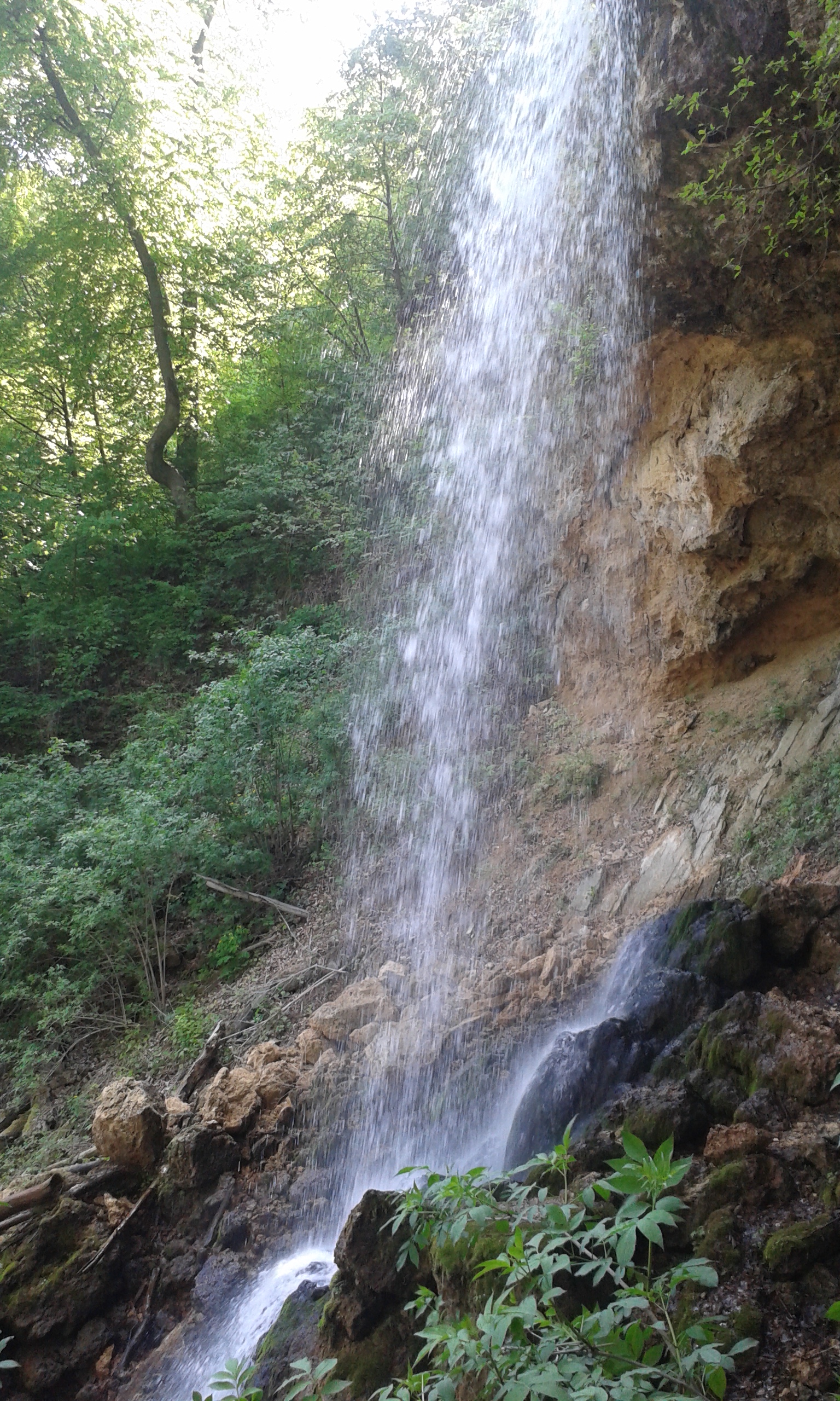 20160422_101621.jpg