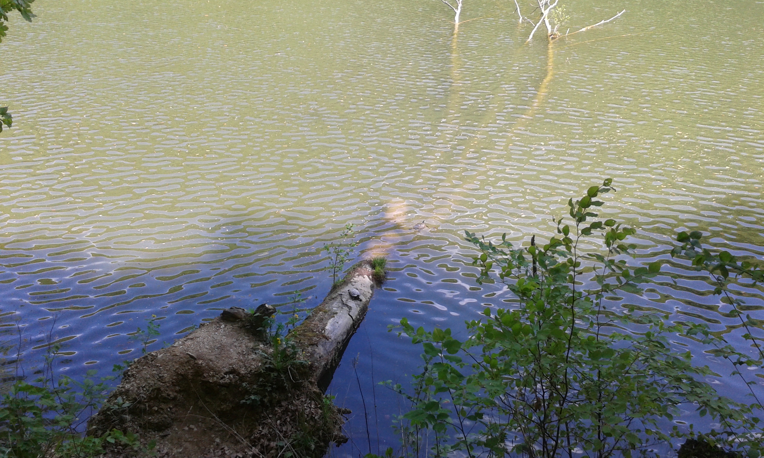 20160422_114515.jpg