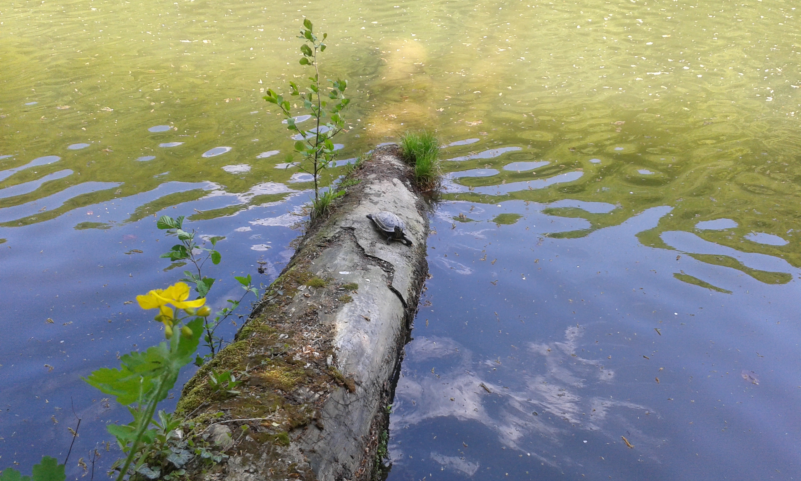 20160422_115241.jpg