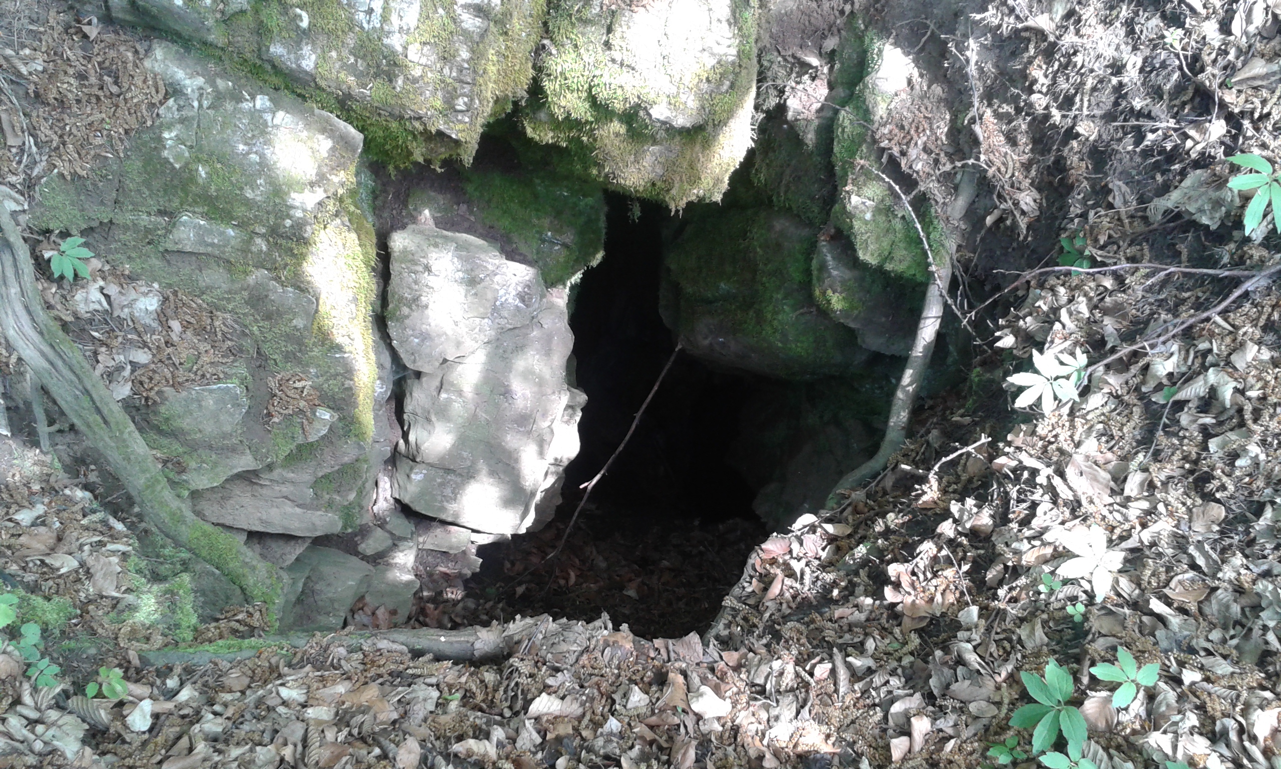 20160426_115424.jpg