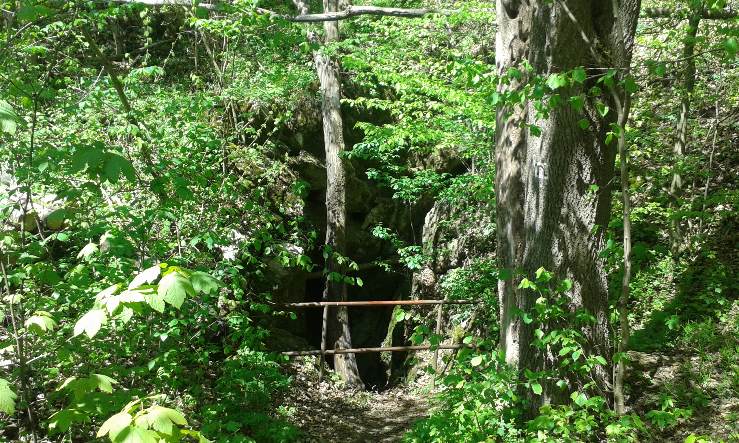 20160426_130008.jpg