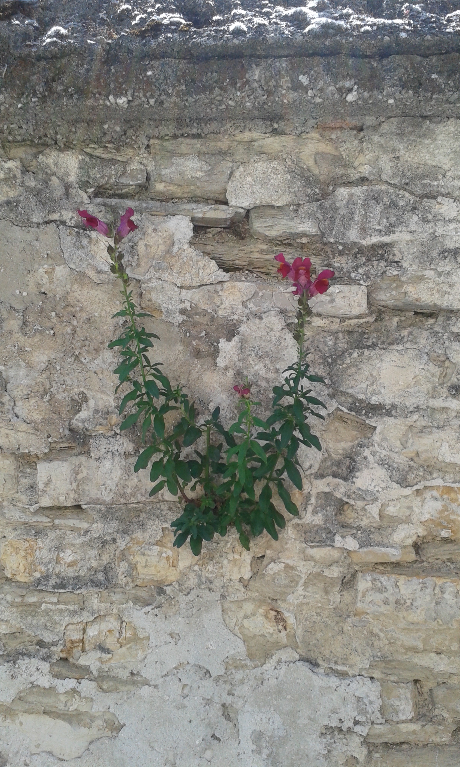 20160701_102944.jpg