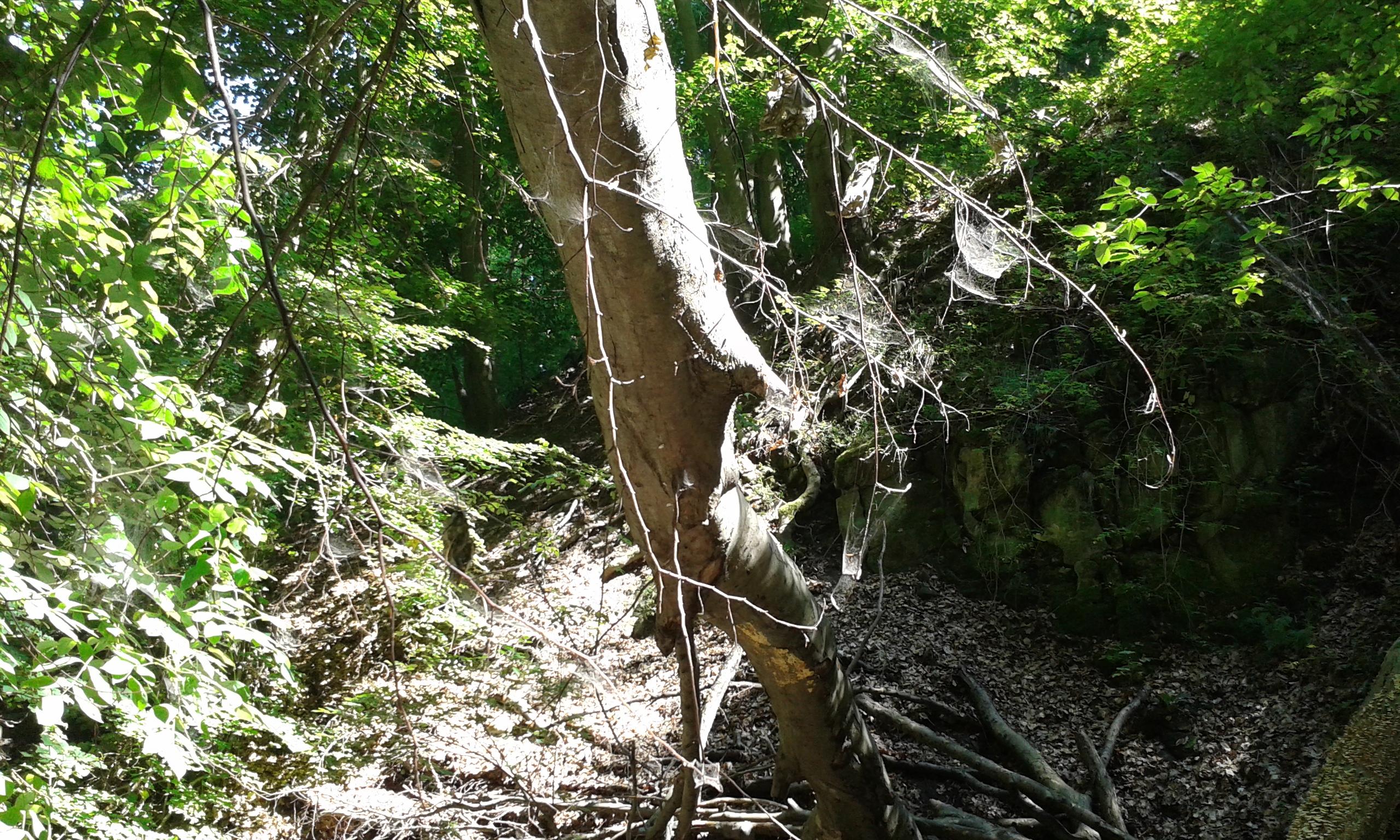 20160830_123319.jpg