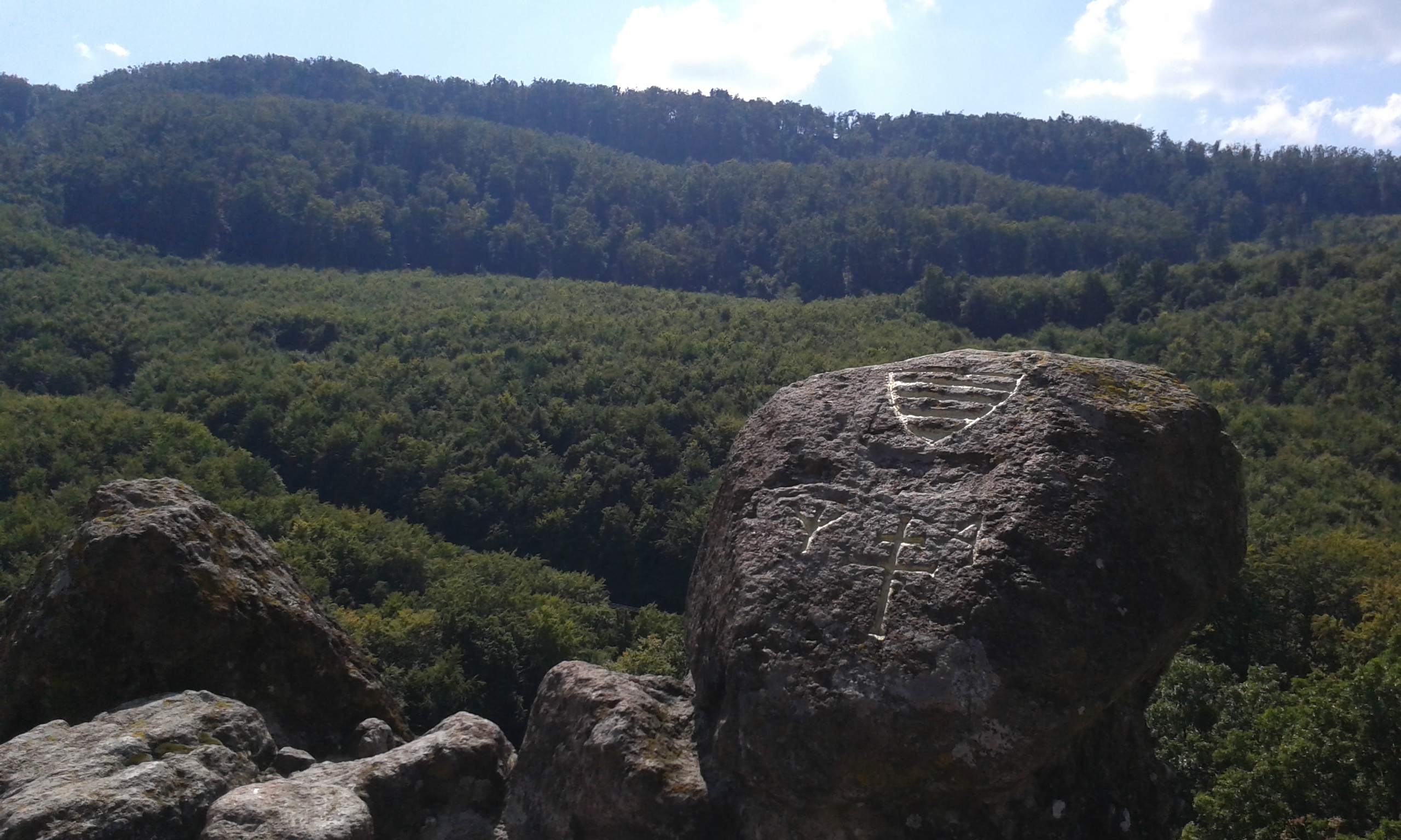20160830_141830.jpg
