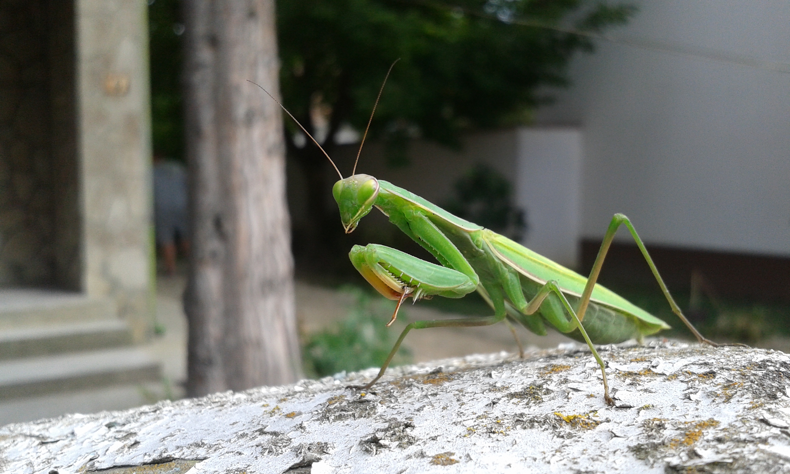 20160927_134600_1.jpg