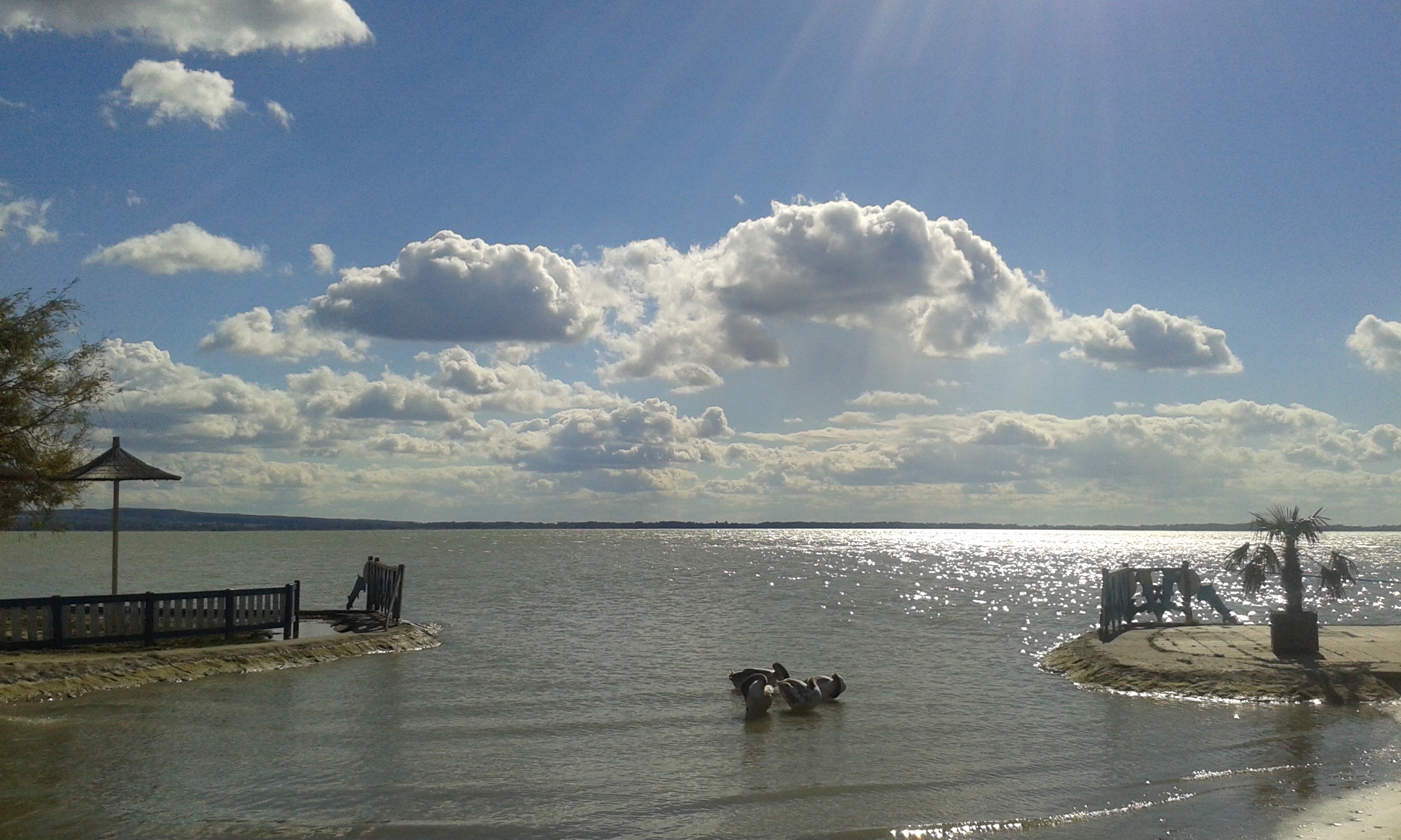 20161006_095753.jpg