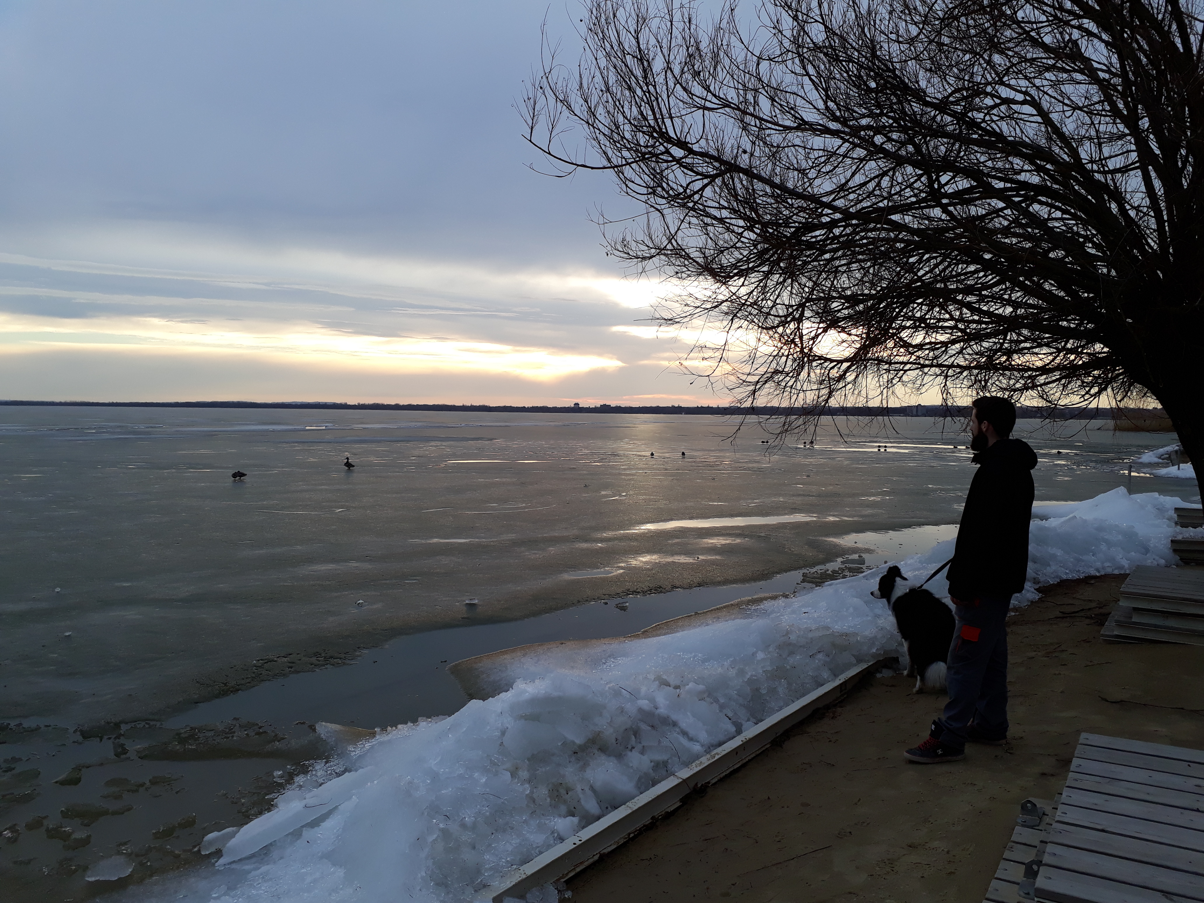 20180310_170556.jpg