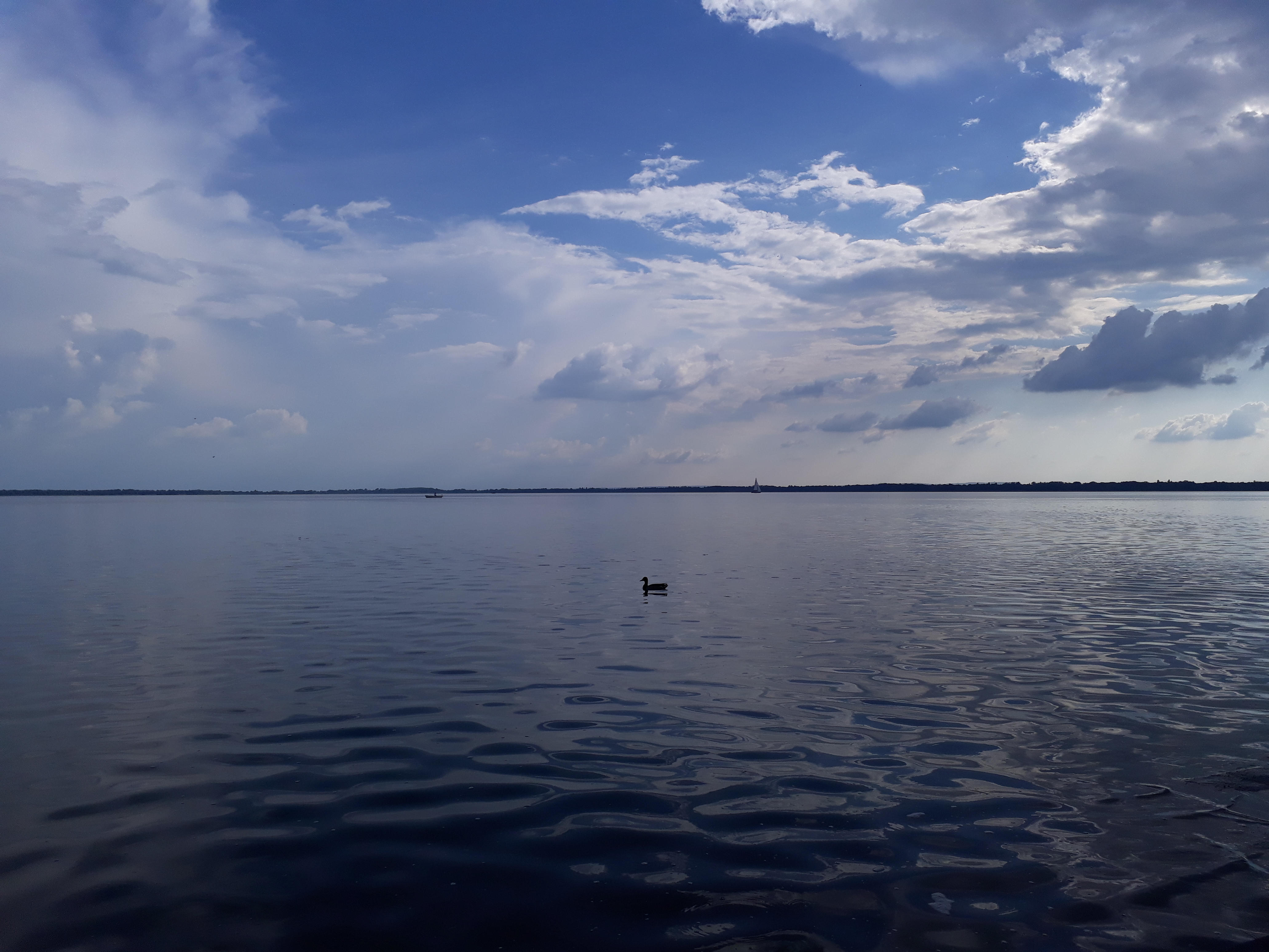 20180511_172124.jpg