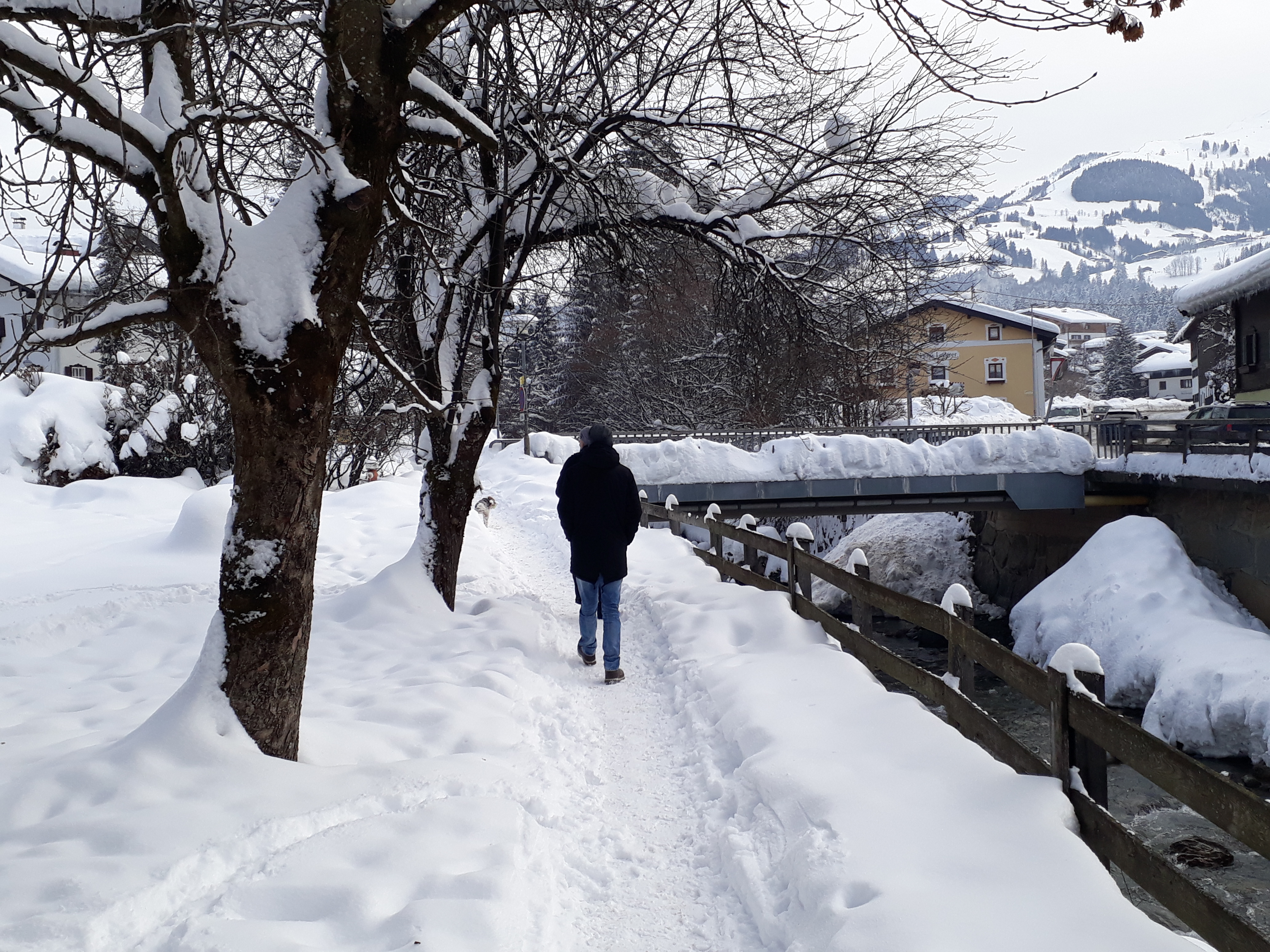 20190127_112527.jpg
