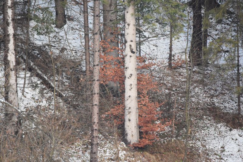 dsc_0126_eredmeny.JPG