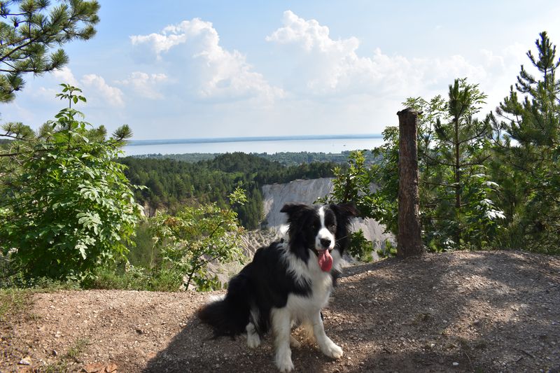 dsc_0174_eredmeny.JPG