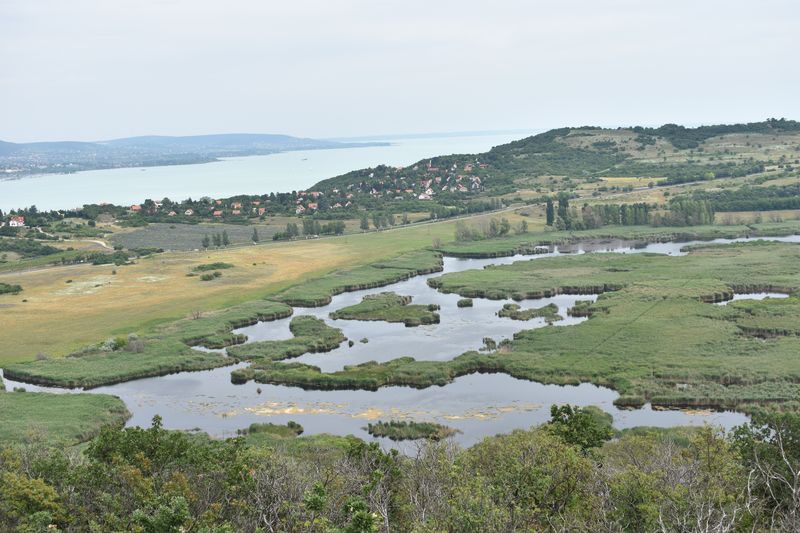 dsc_0194_eredmeny_1.JPG