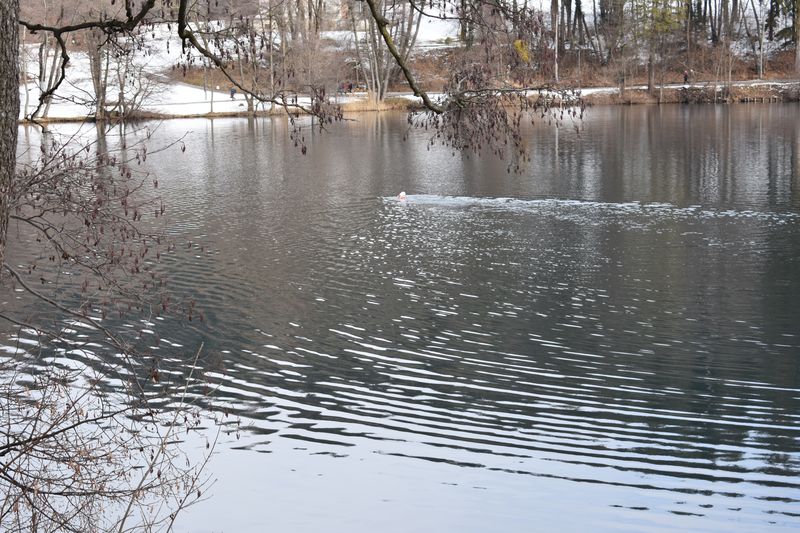 dsc_0211_eredmeny.JPG