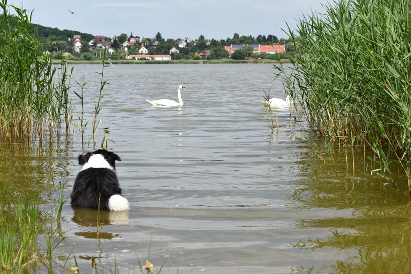 dsc_0226_eredmeny.JPG