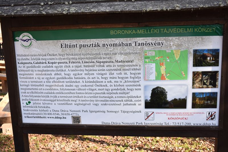 dsc_0376_eredmeny.JPG