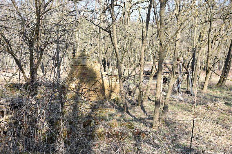 dsc_0390_eredmeny.JPG