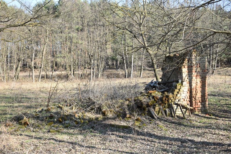 dsc_0391_eredmeny.JPG