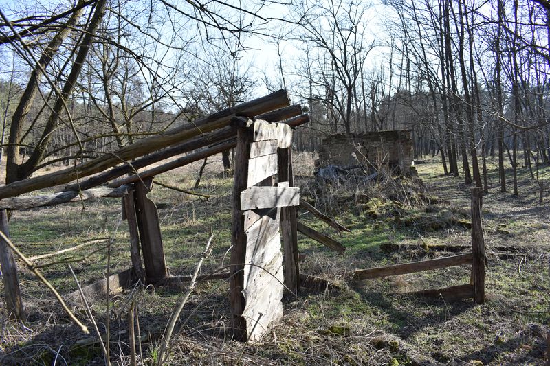 dsc_0392_eredmeny.JPG