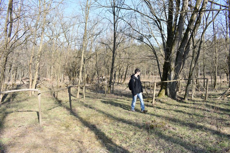 dsc_0401_eredmeny.JPG