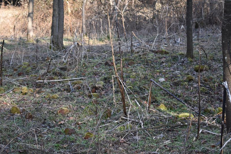 dsc_0404_eredmeny.JPG